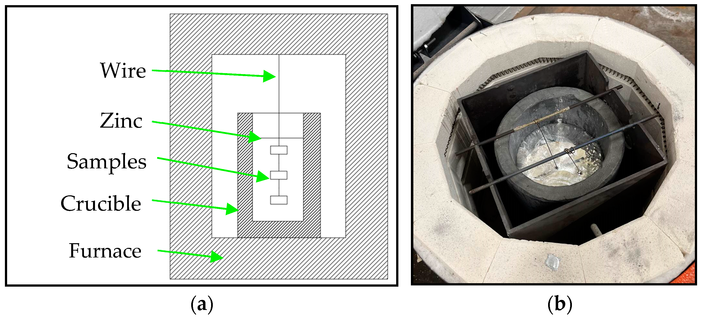 Coatings 14 00606 g001