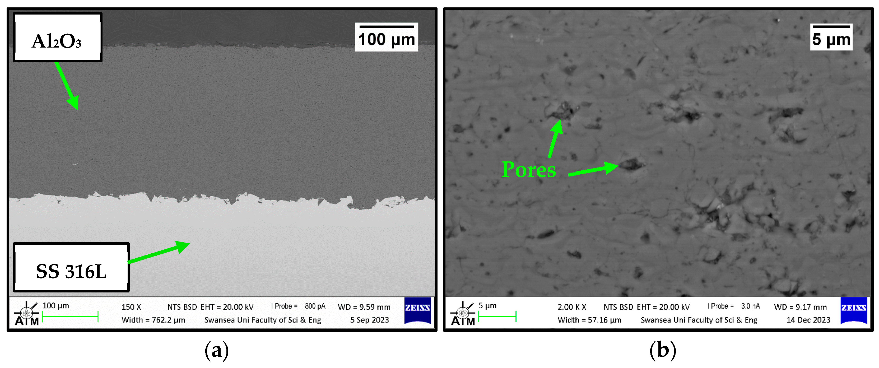 Coatings 14 00606 g002