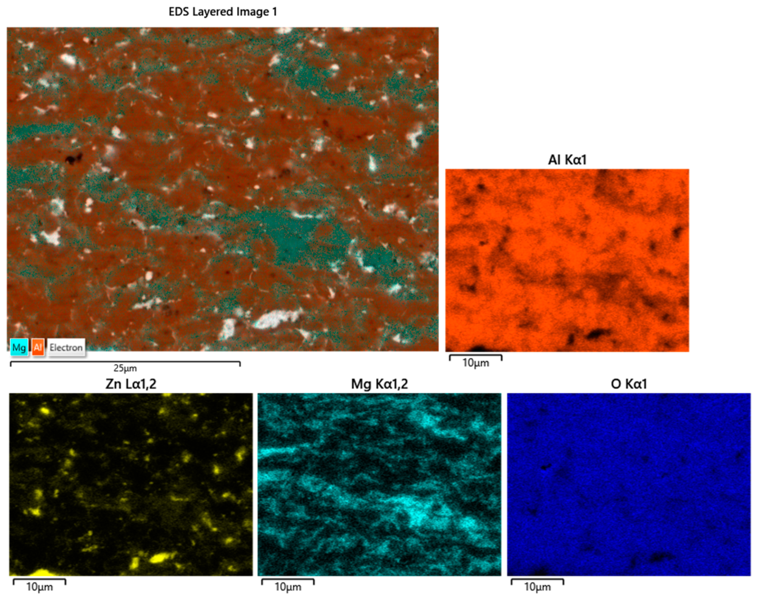 Coatings 14 00606 g010