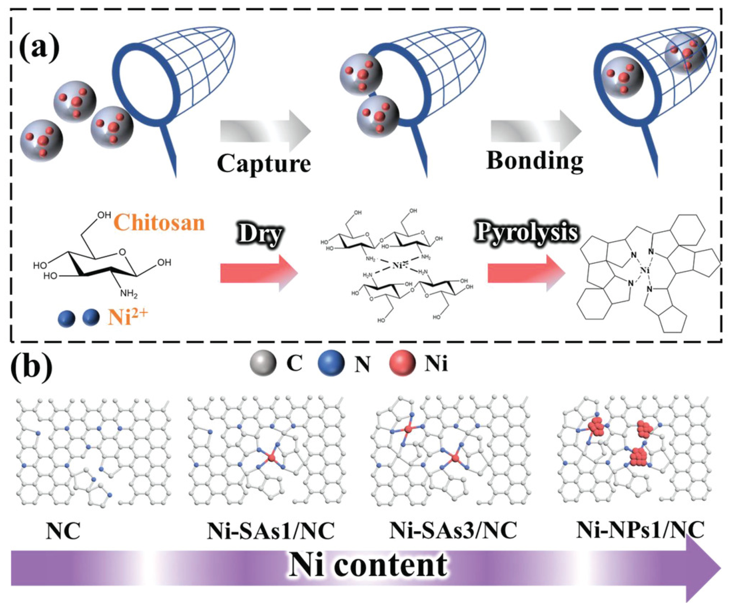 Coatings 14 00607 g007