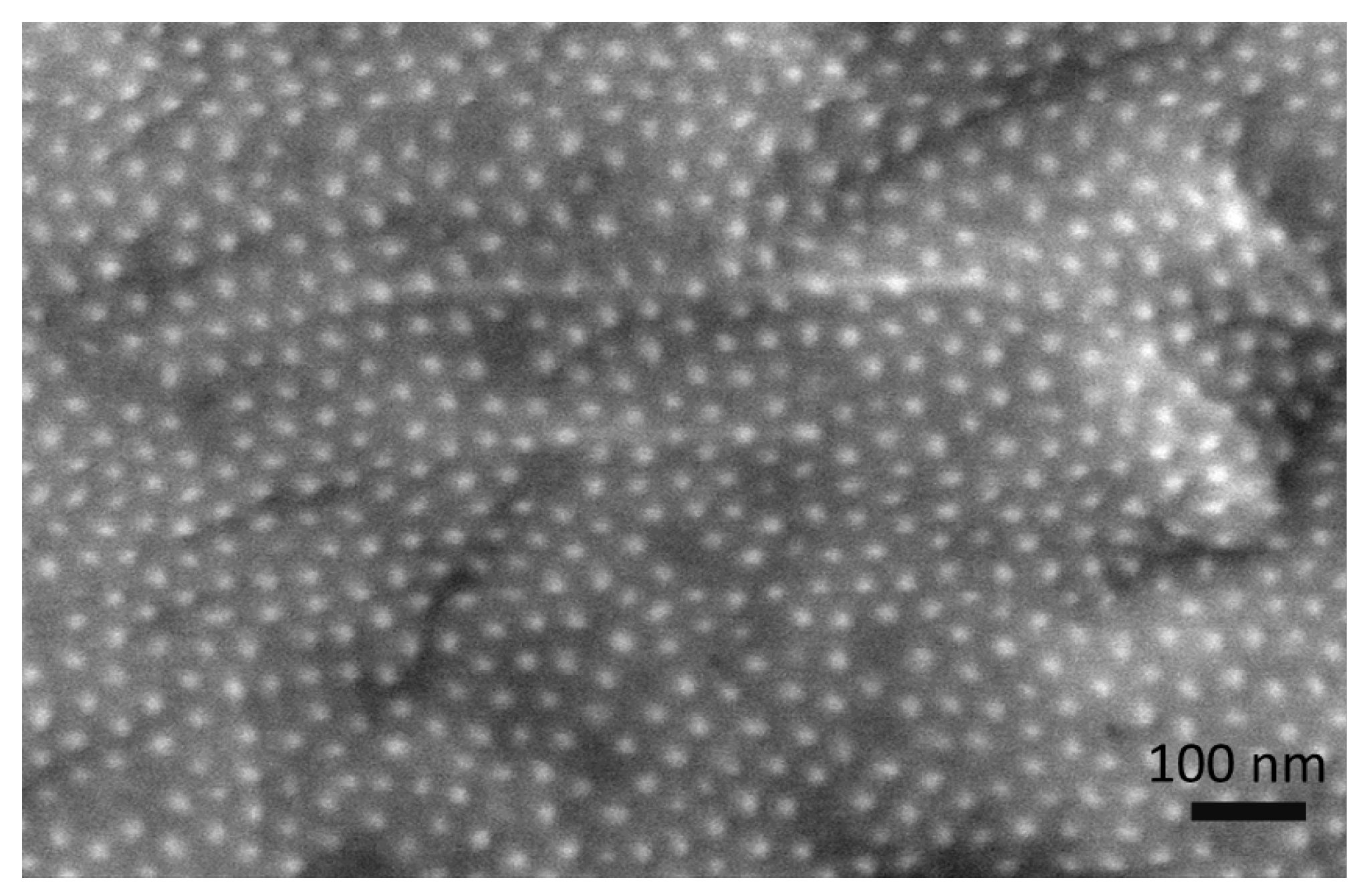 Coatings 14 00616 g001 Coatings 14 00616 g001