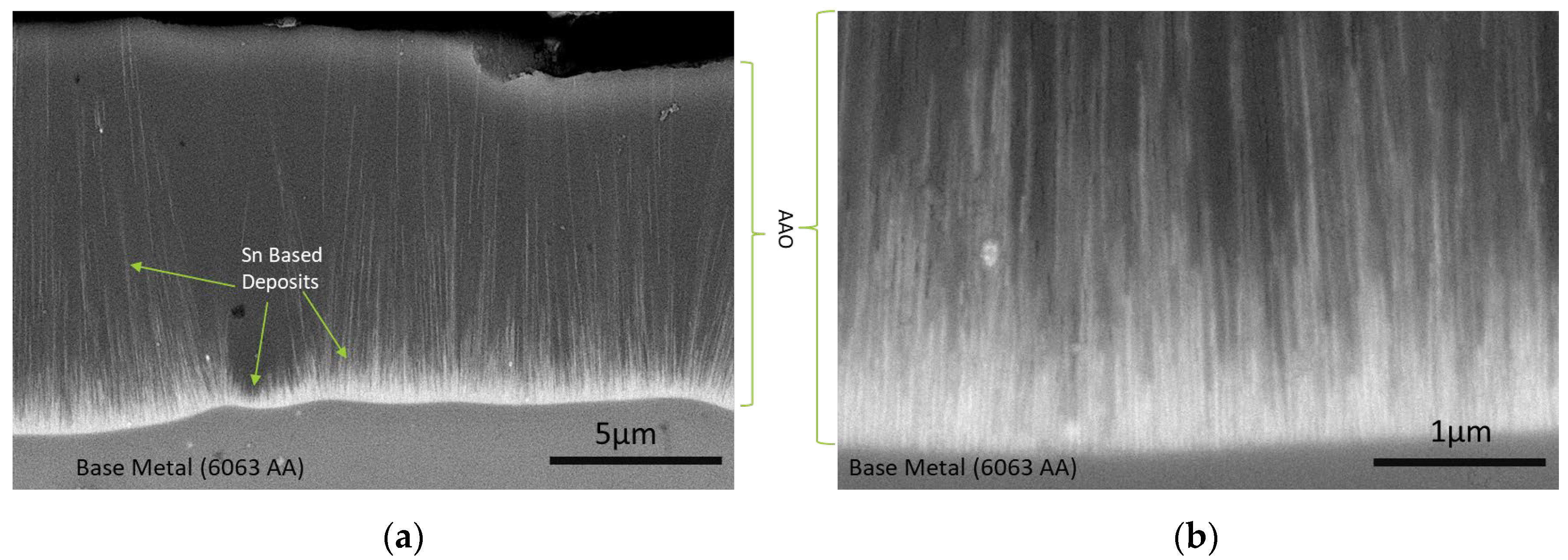 Coatings 14 00616 g003 Coatings 14 00616 g003