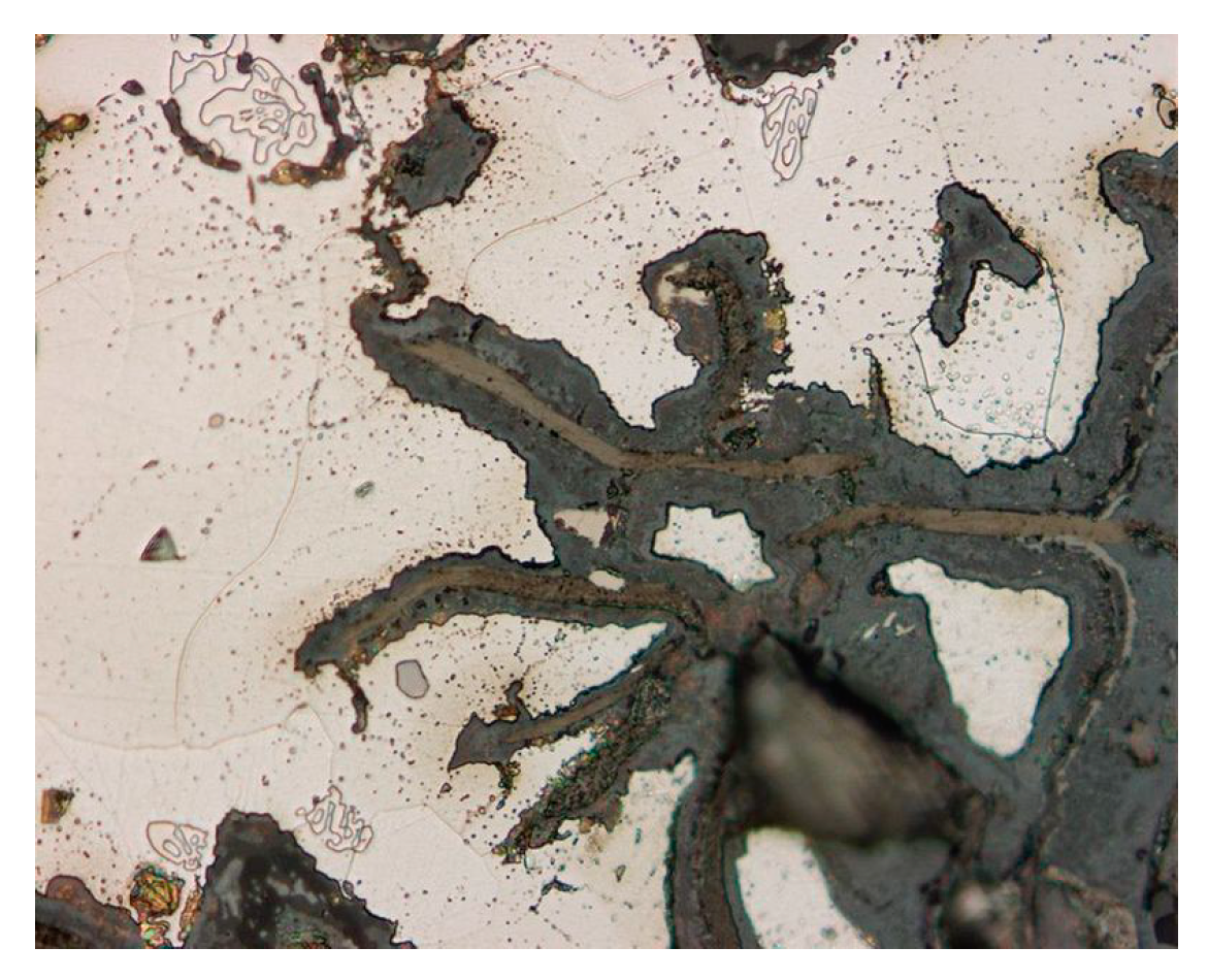 Coatings 14 00617 g005