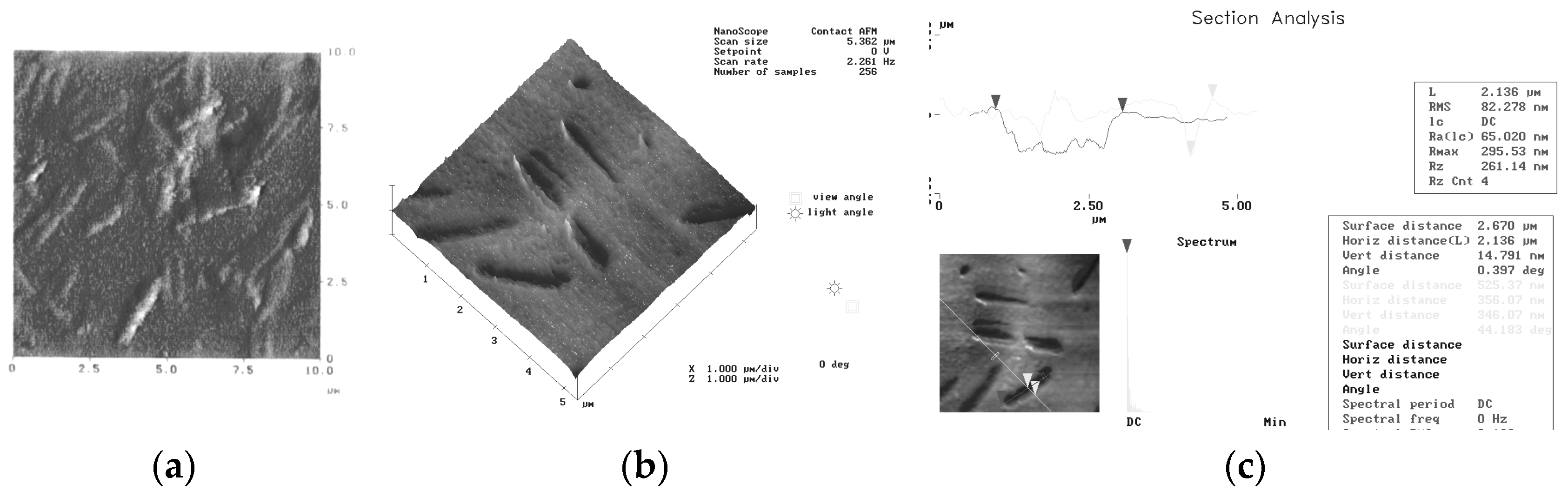 Coatings 14 00617 g006