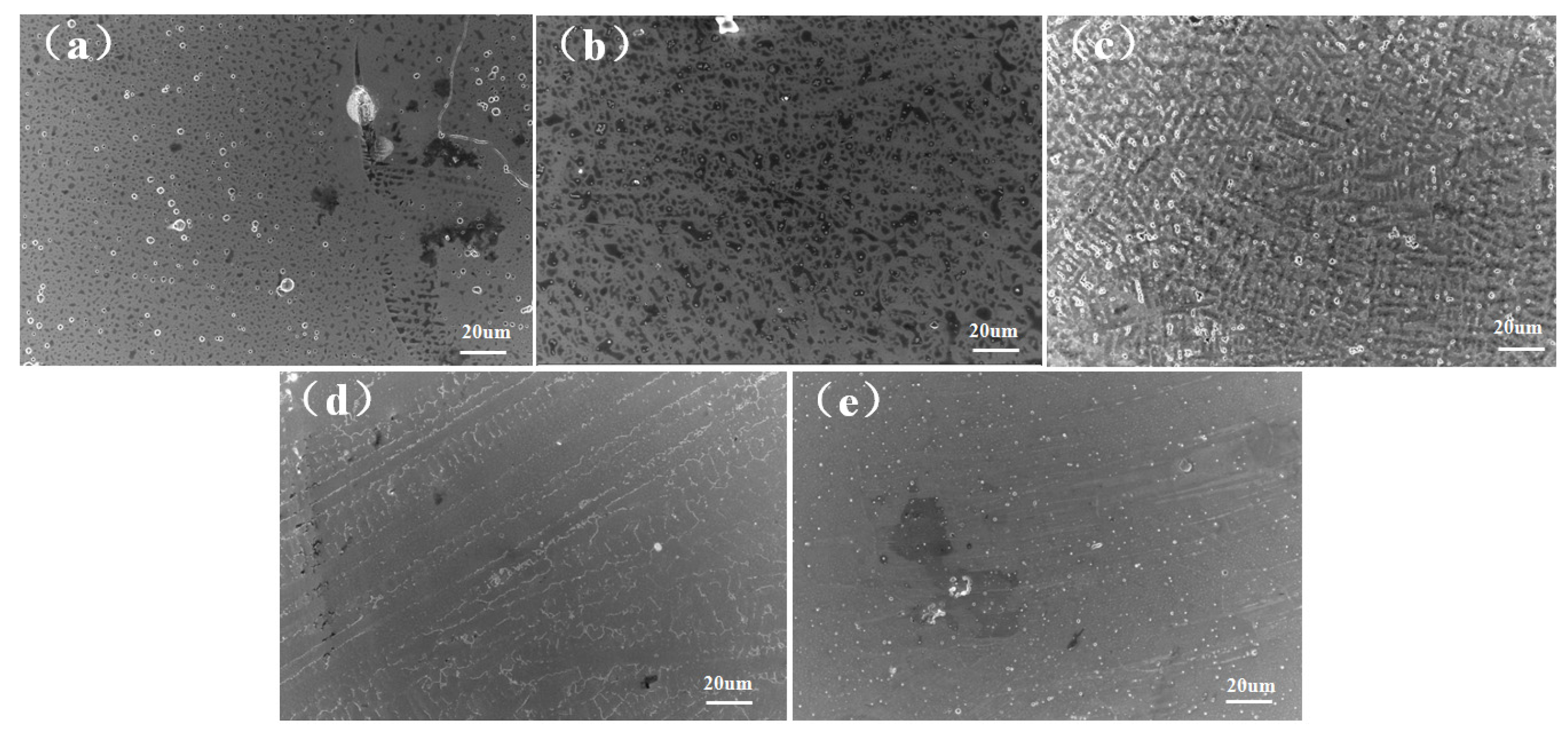 Coatings 14 00620 g003