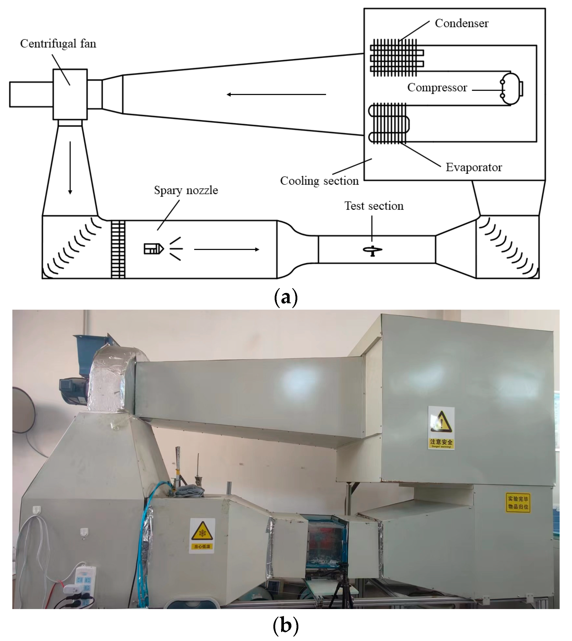Coatings 14 00623 g001