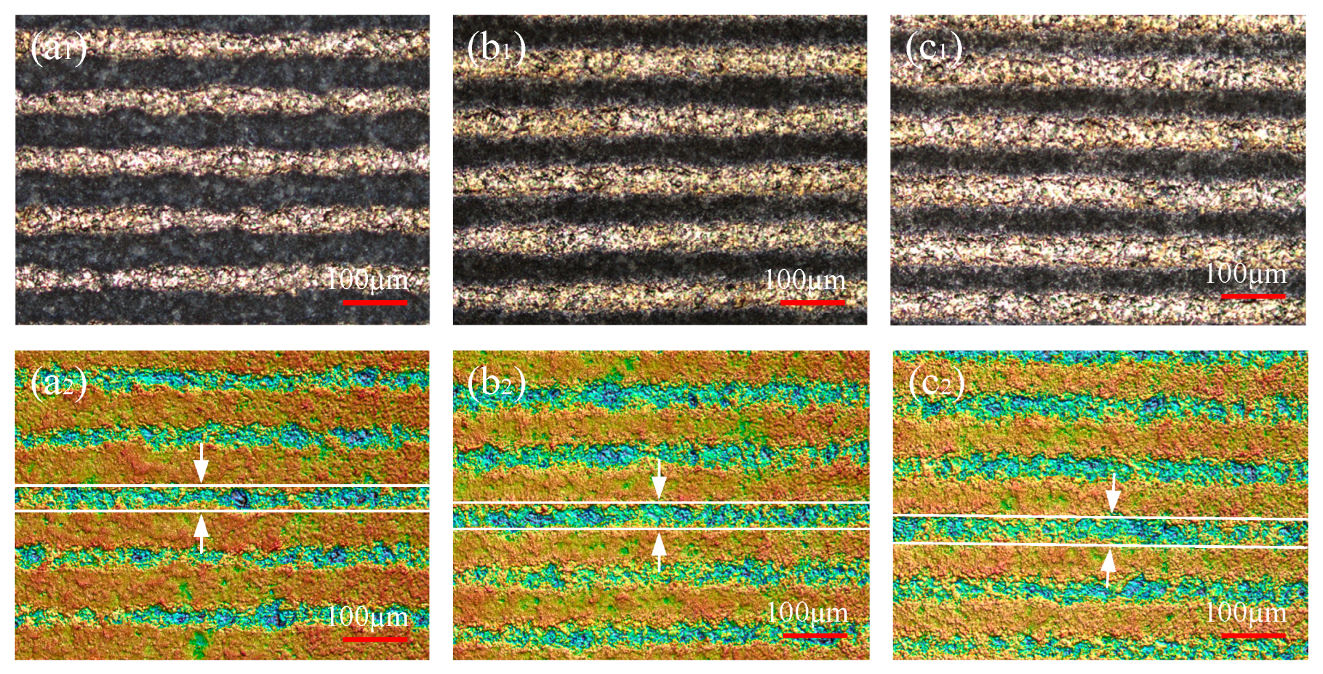 Coatings 14 00624 g001