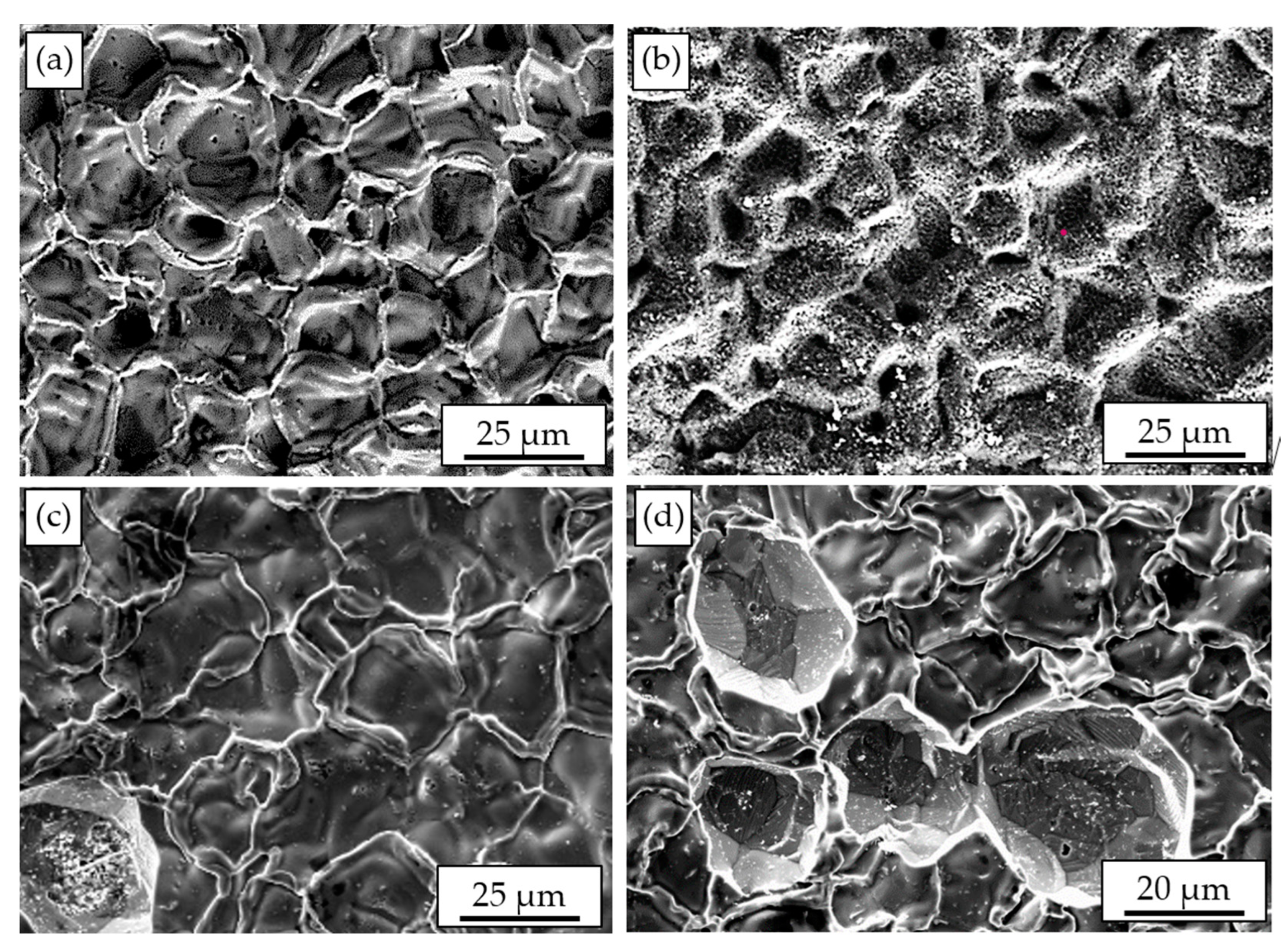 Coatings 14 00630 g005