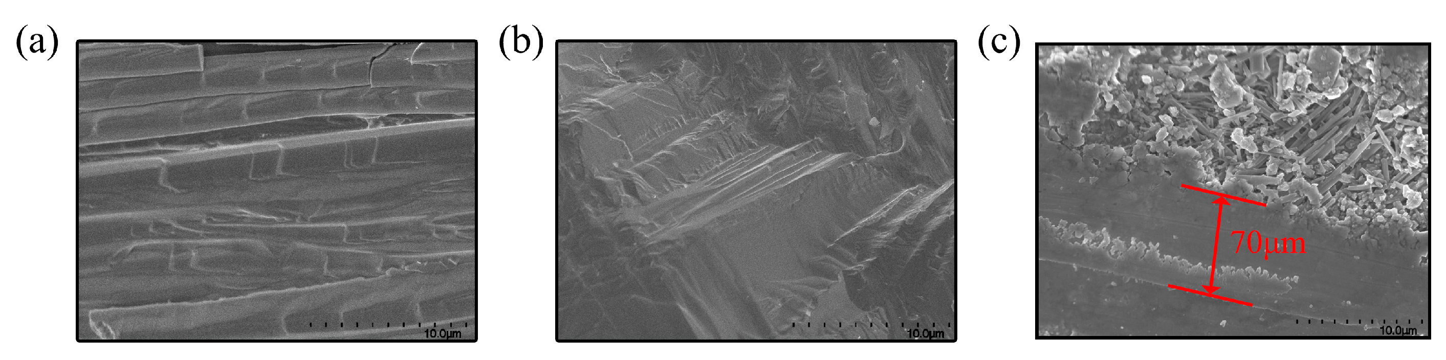 Coatings 14 00633 g004