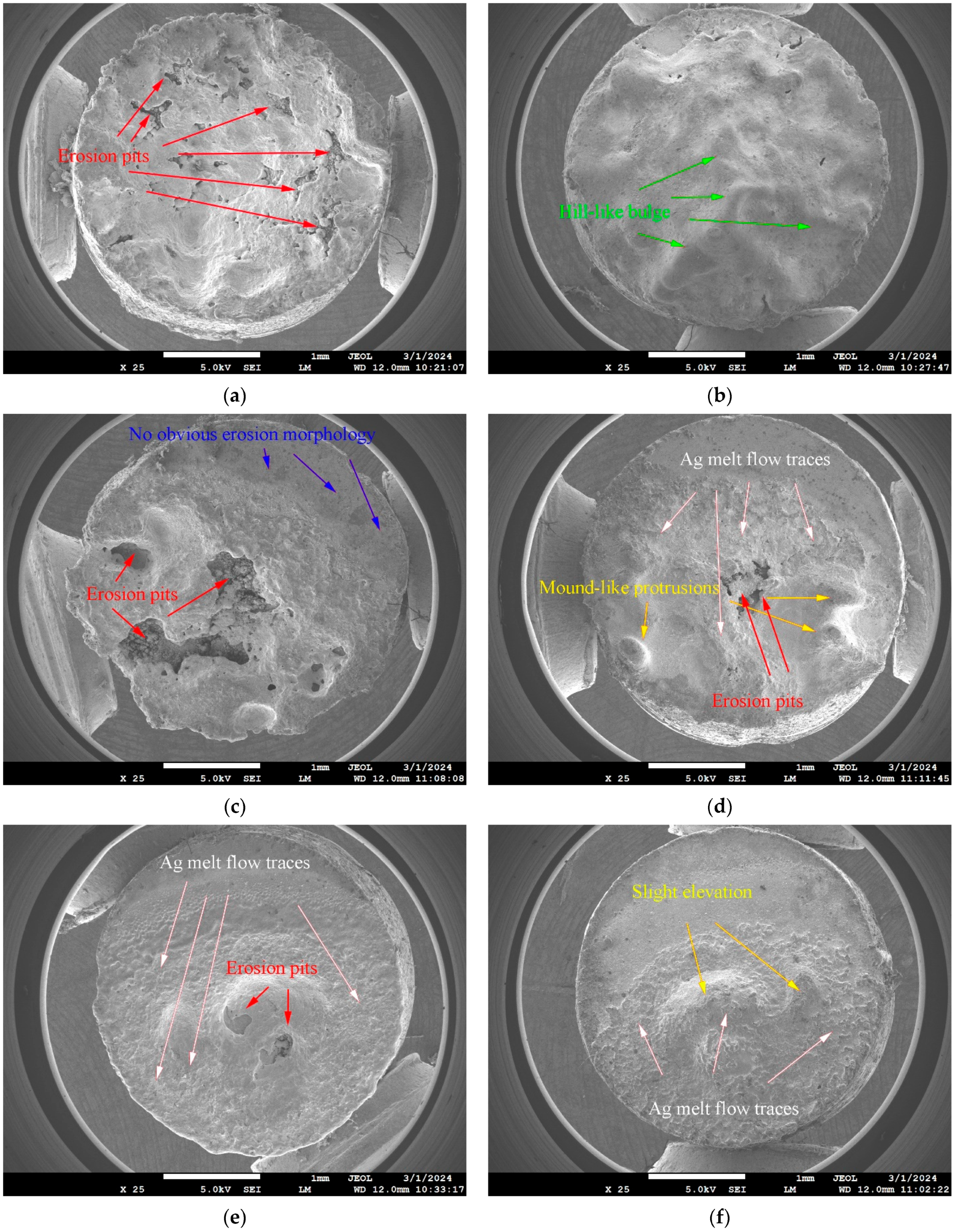 Coatings 14 00638 g010a