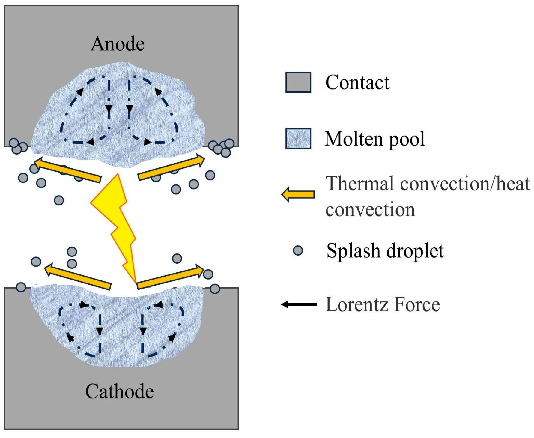 Coatings 14 00638 g013