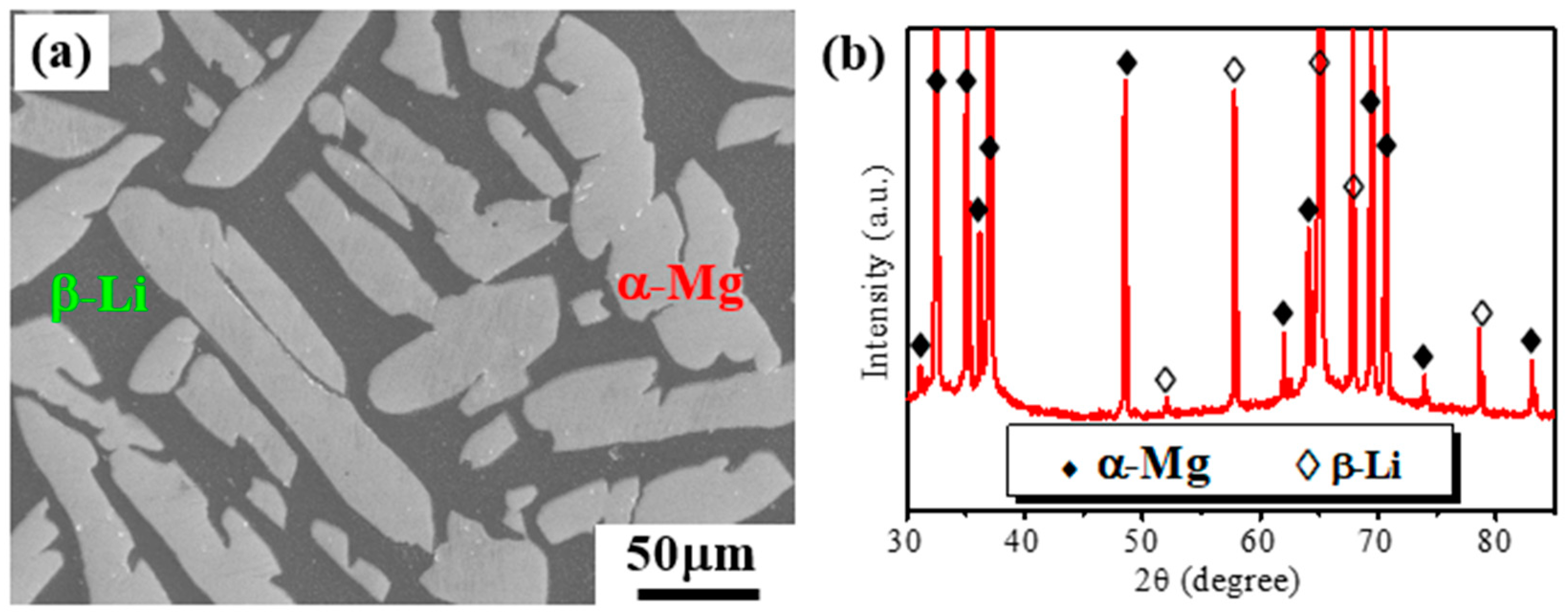 Coatings 14 00641 g001