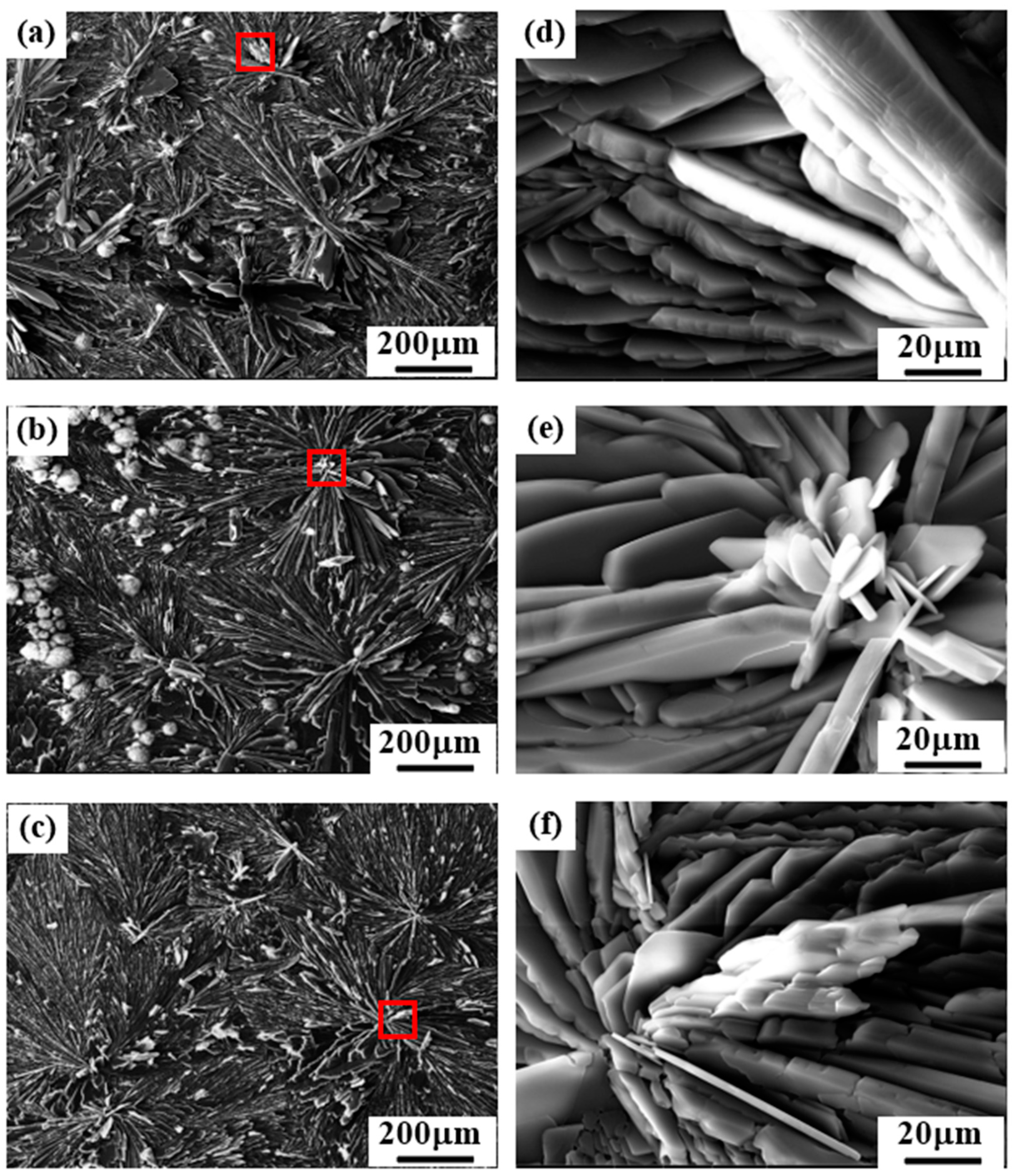 Coatings 14 00641 g002