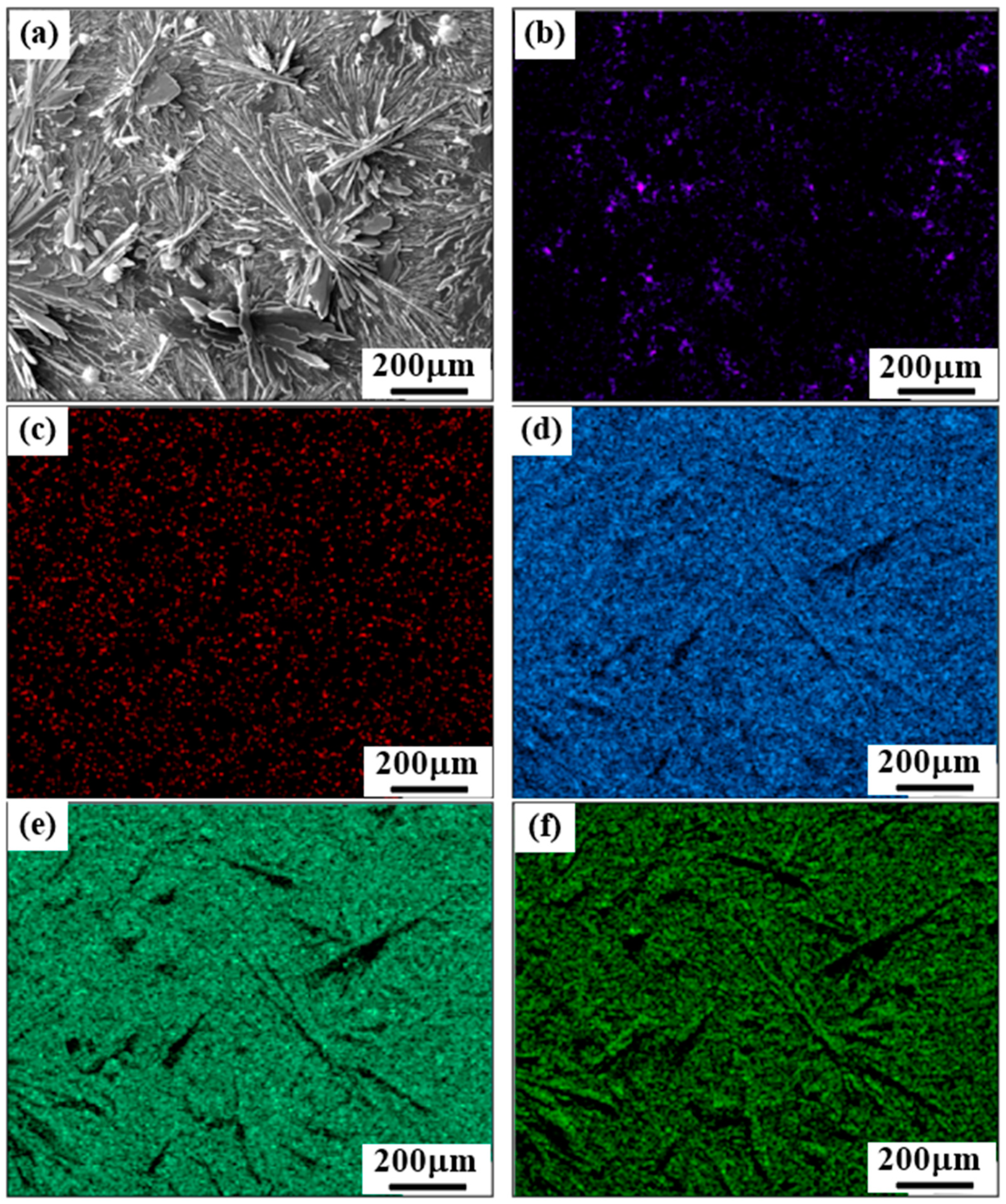 Coatings 14 00641 g003