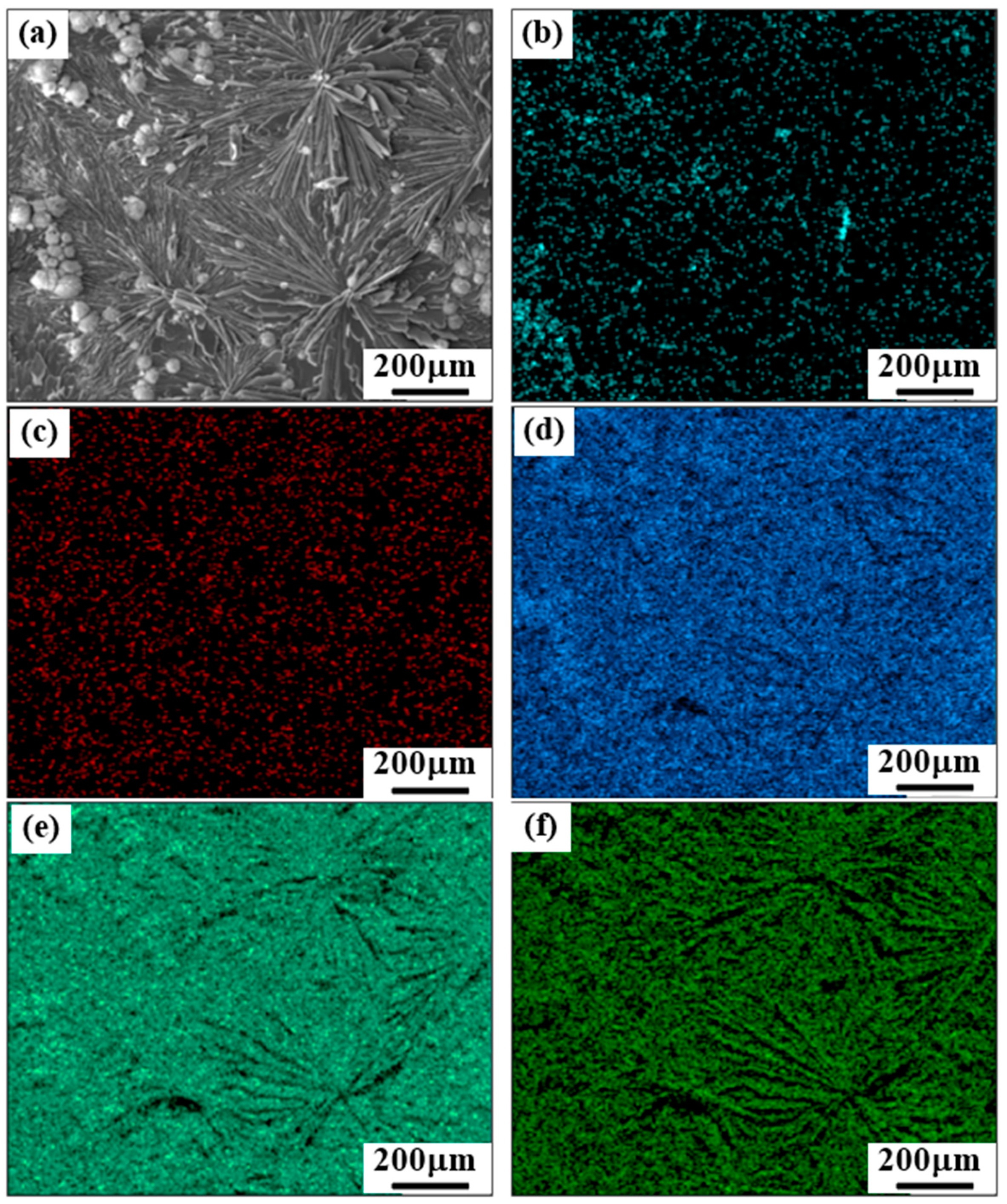 Coatings 14 00641 g004