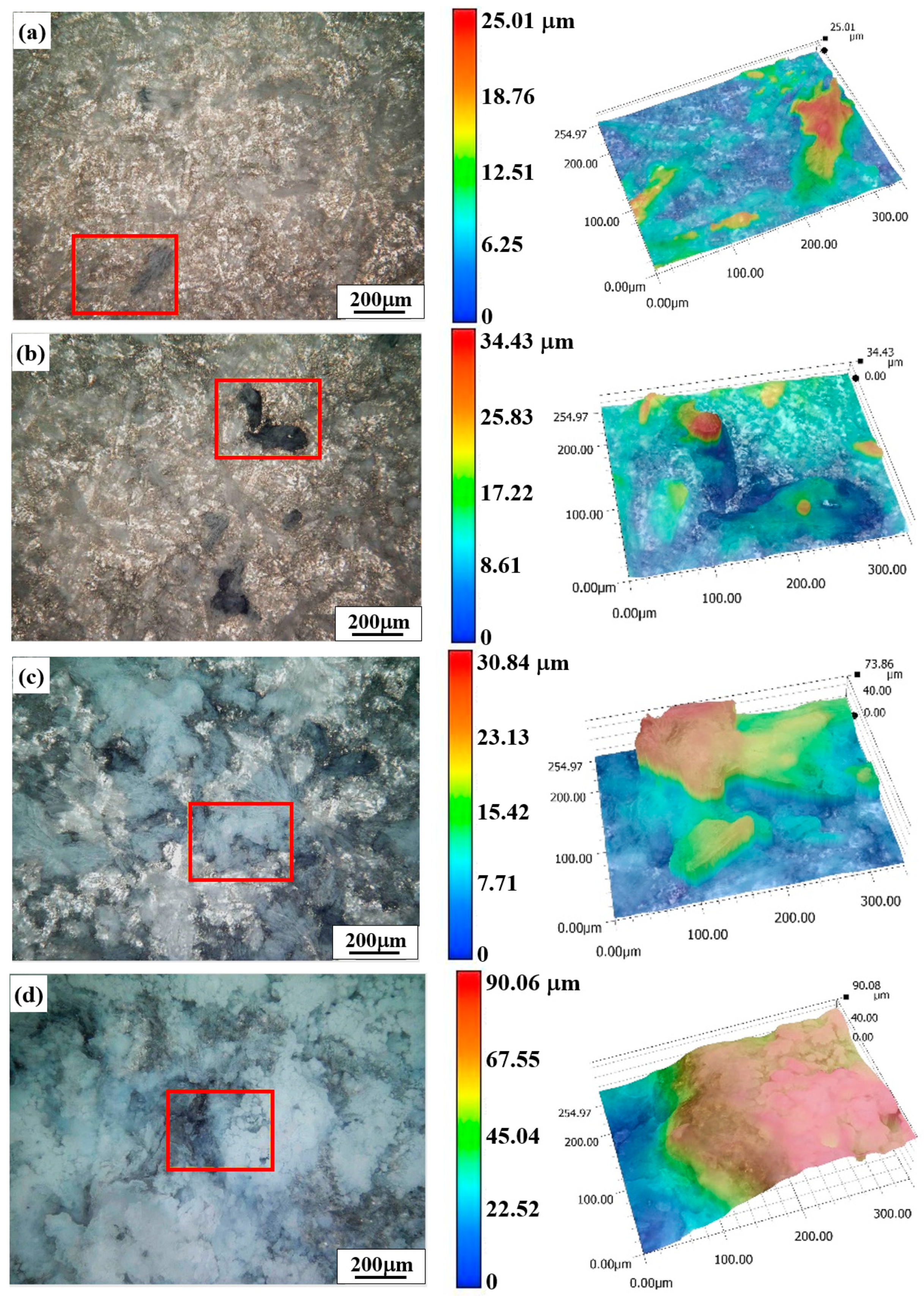 Coatings 14 00641 g009