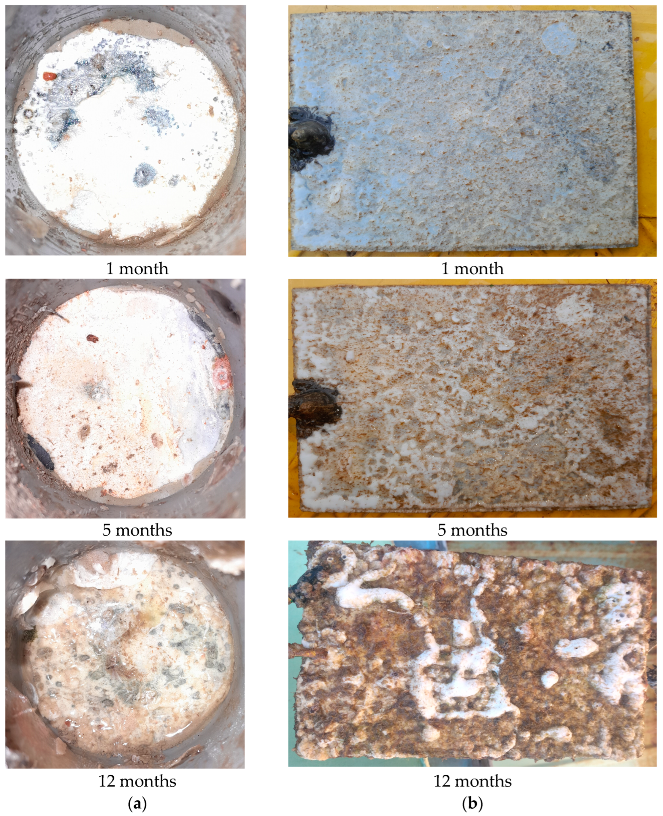 Coatings 14 00644 g008 Coatings 14 00644 g008