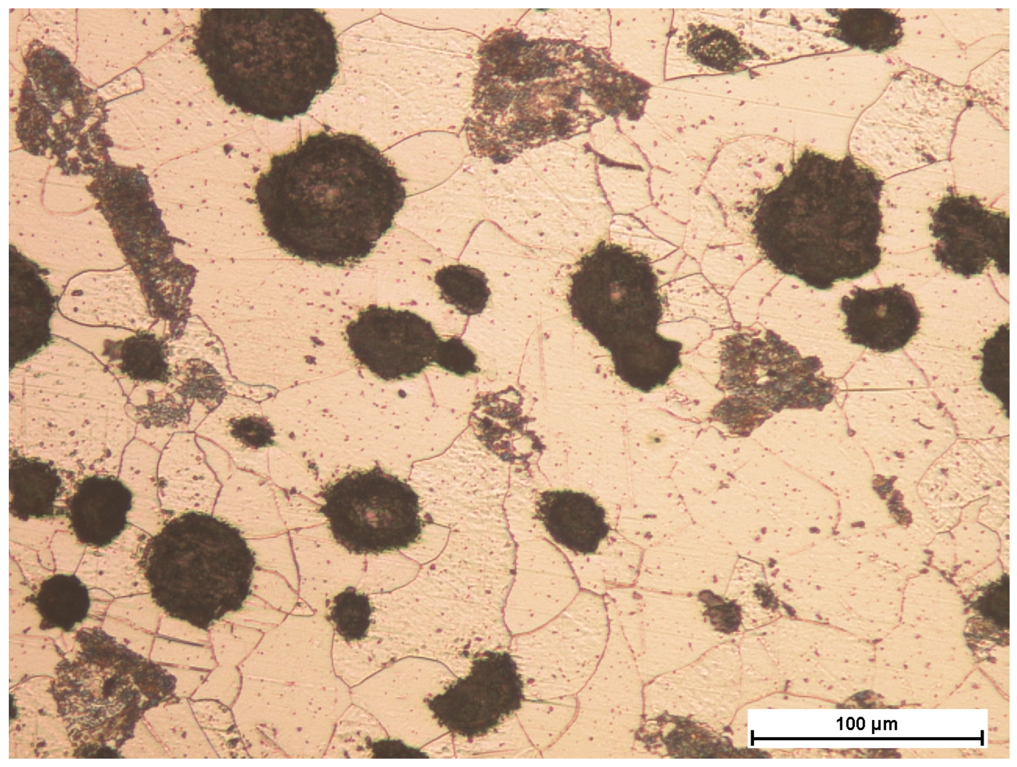 Coatings 14 00646 g001