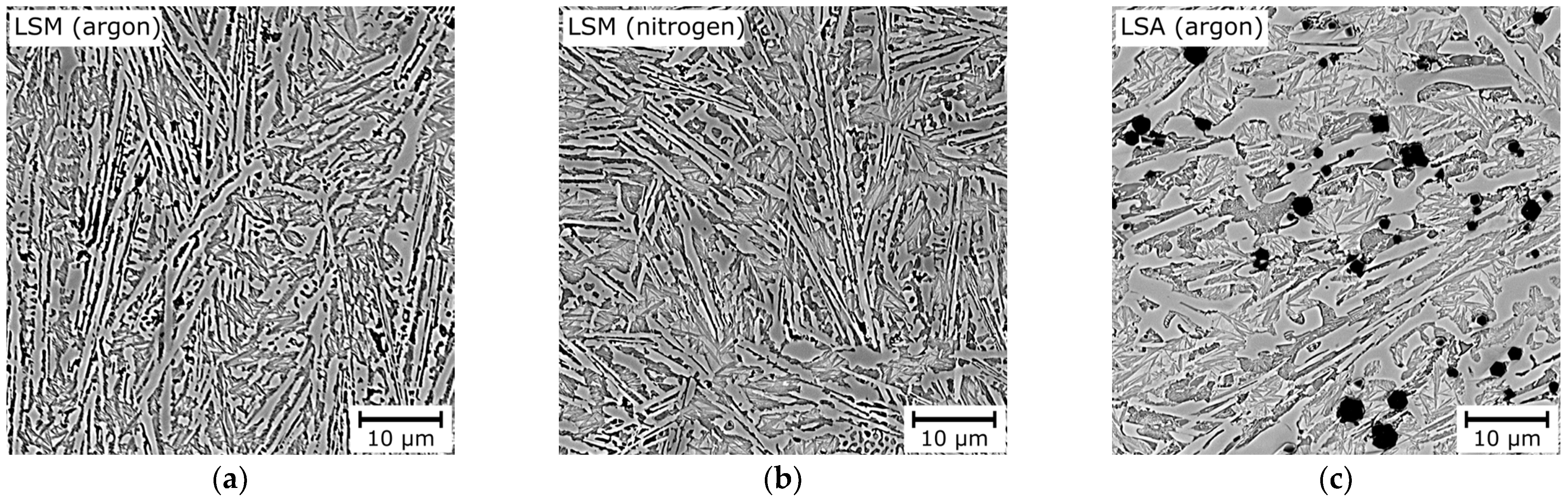 Coatings 14 00646 g005a