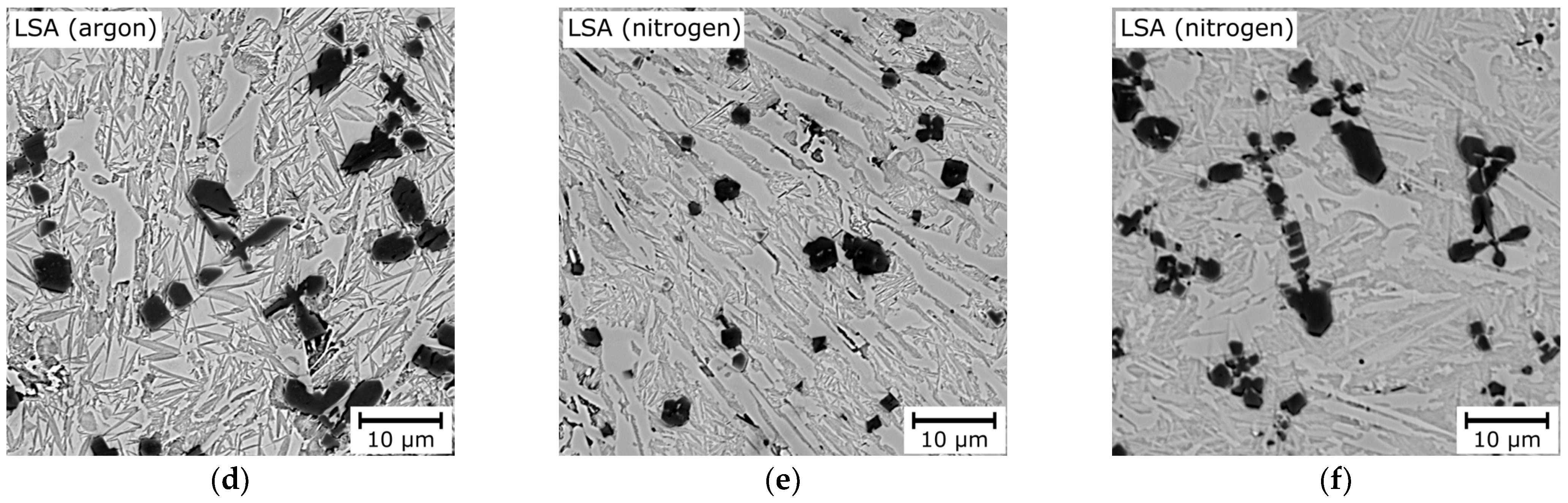 Coatings 14 00646 g005b