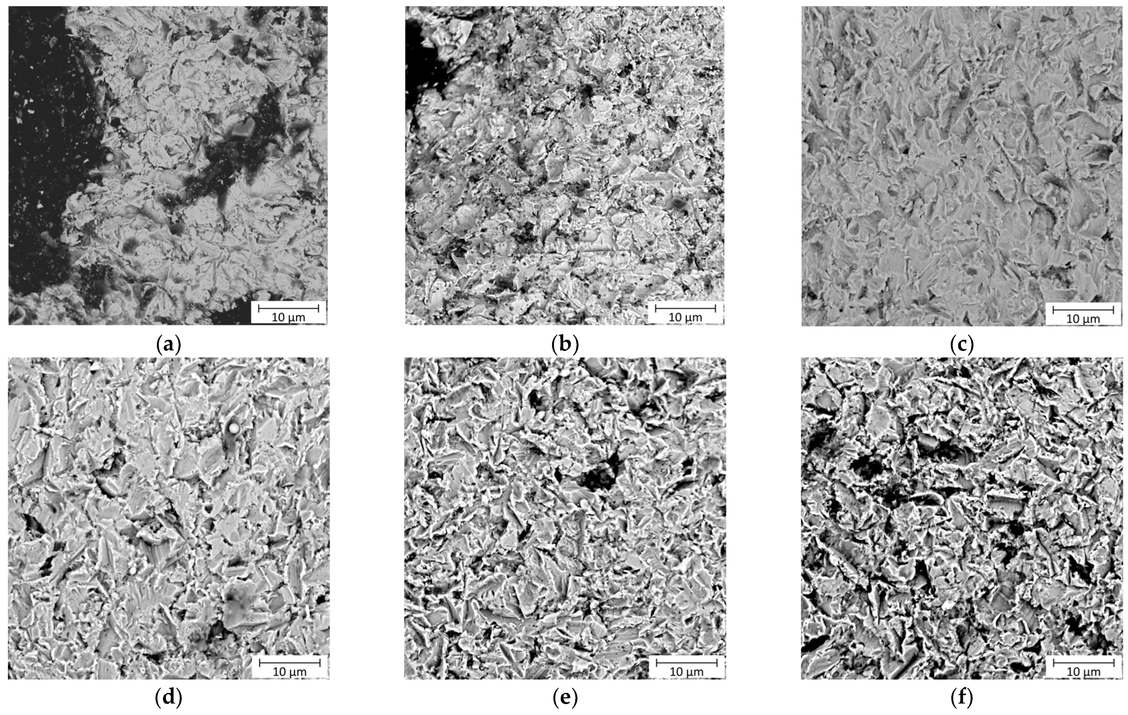 Coatings 14 00646 g010
