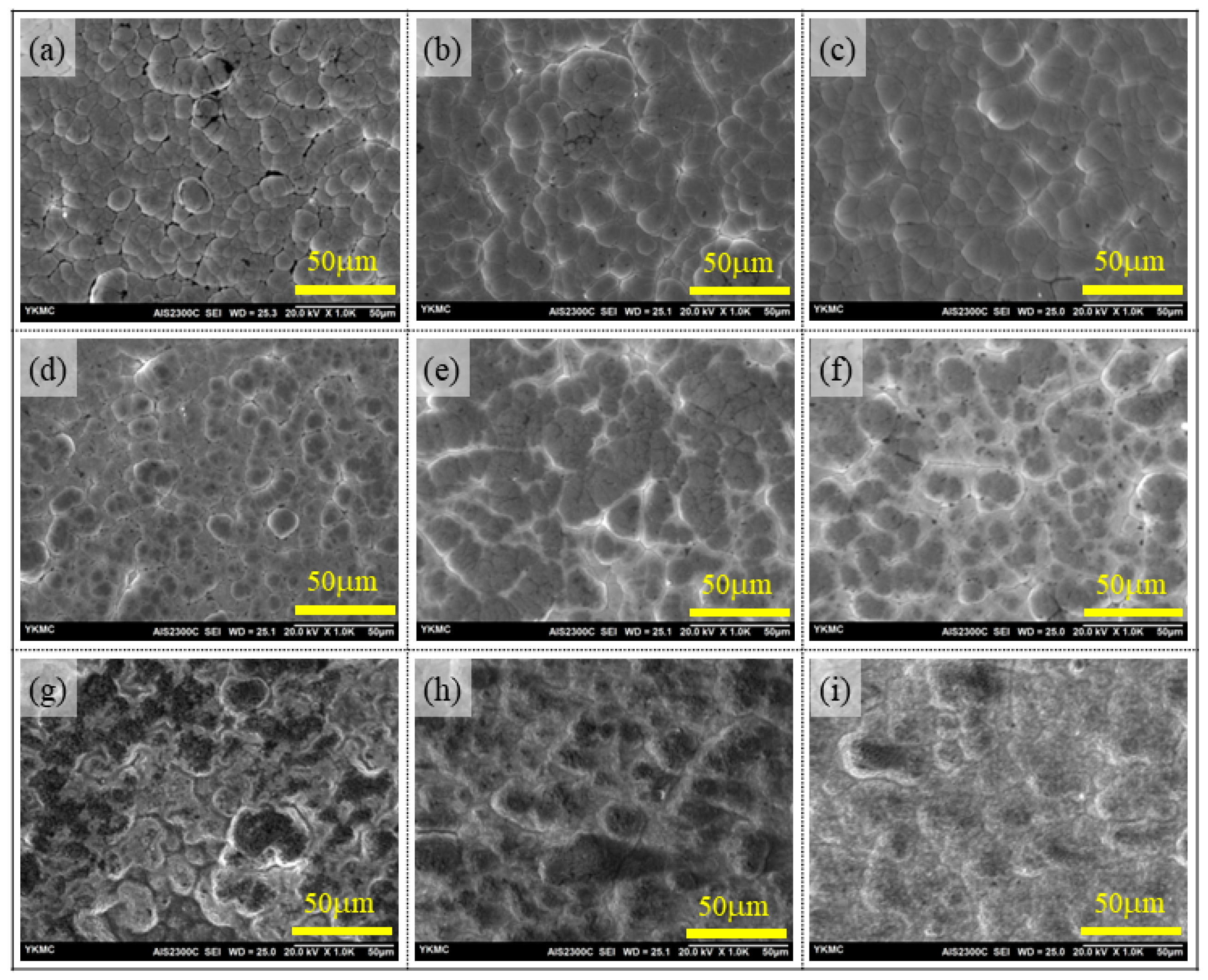 Coatings 14 00648 g001