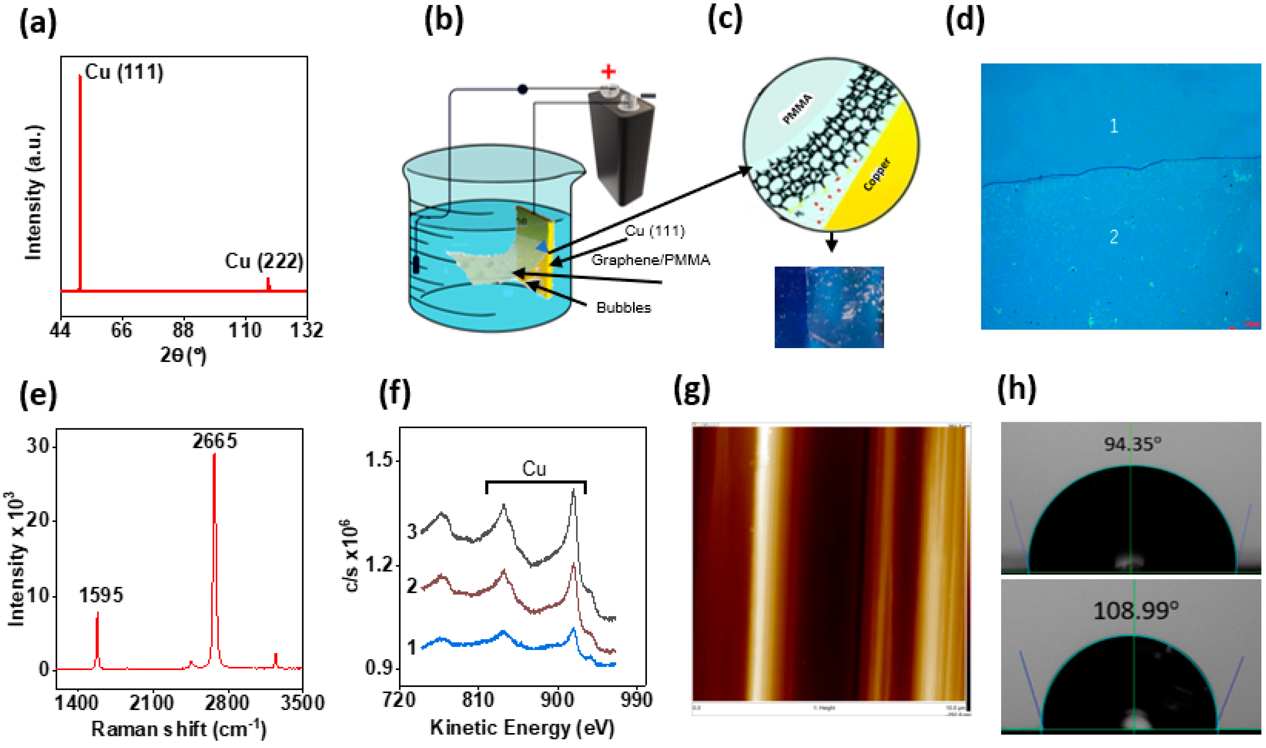 Coatings 14 00656 g001