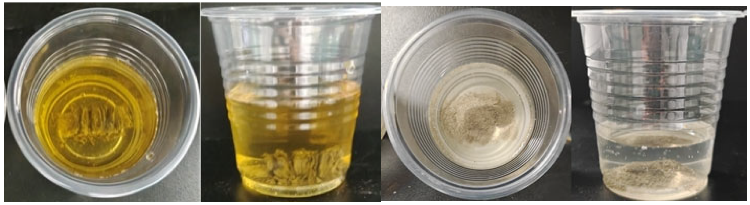 Coatings 14 00667 g012