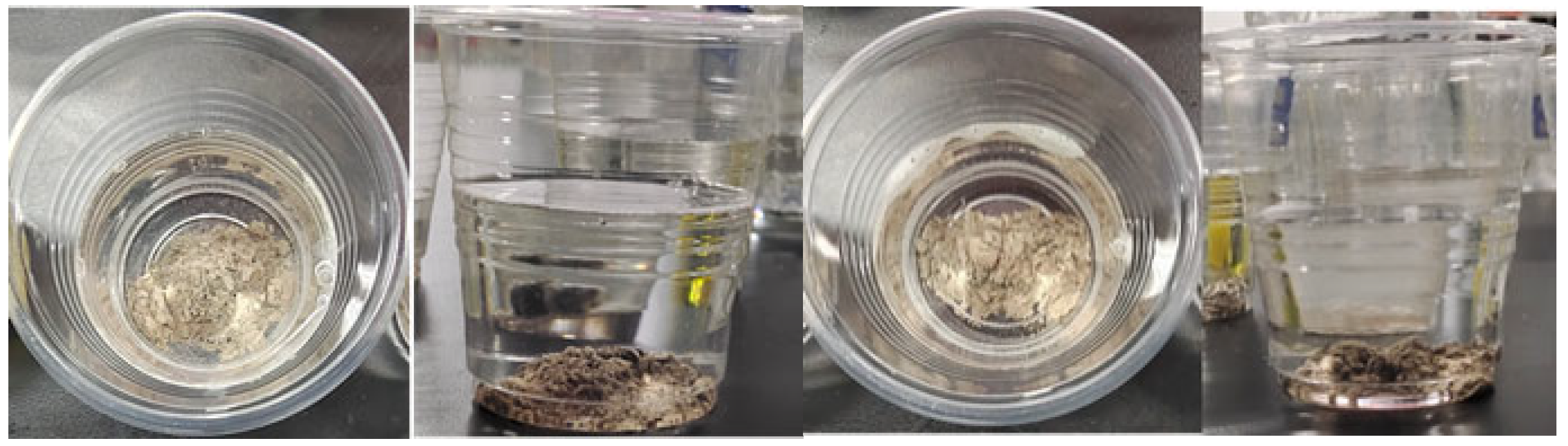 Coatings 14 00667 g013