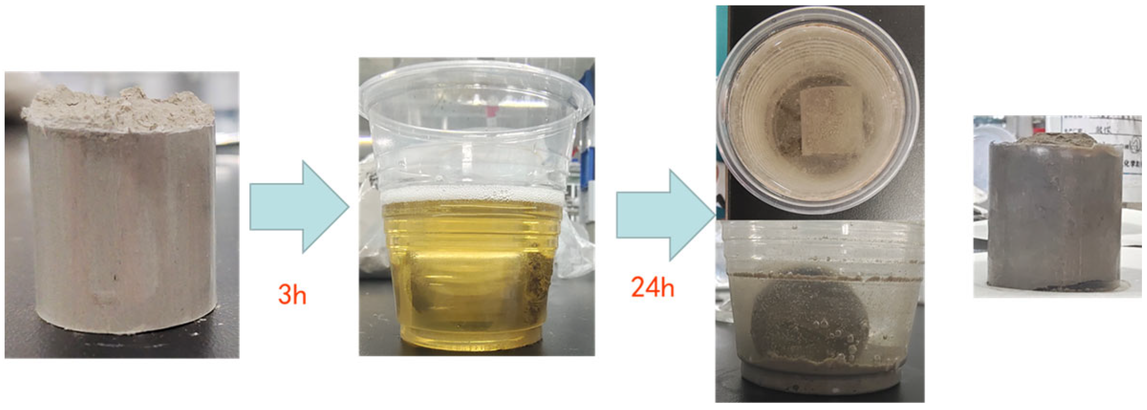 Coatings 14 00667 g016