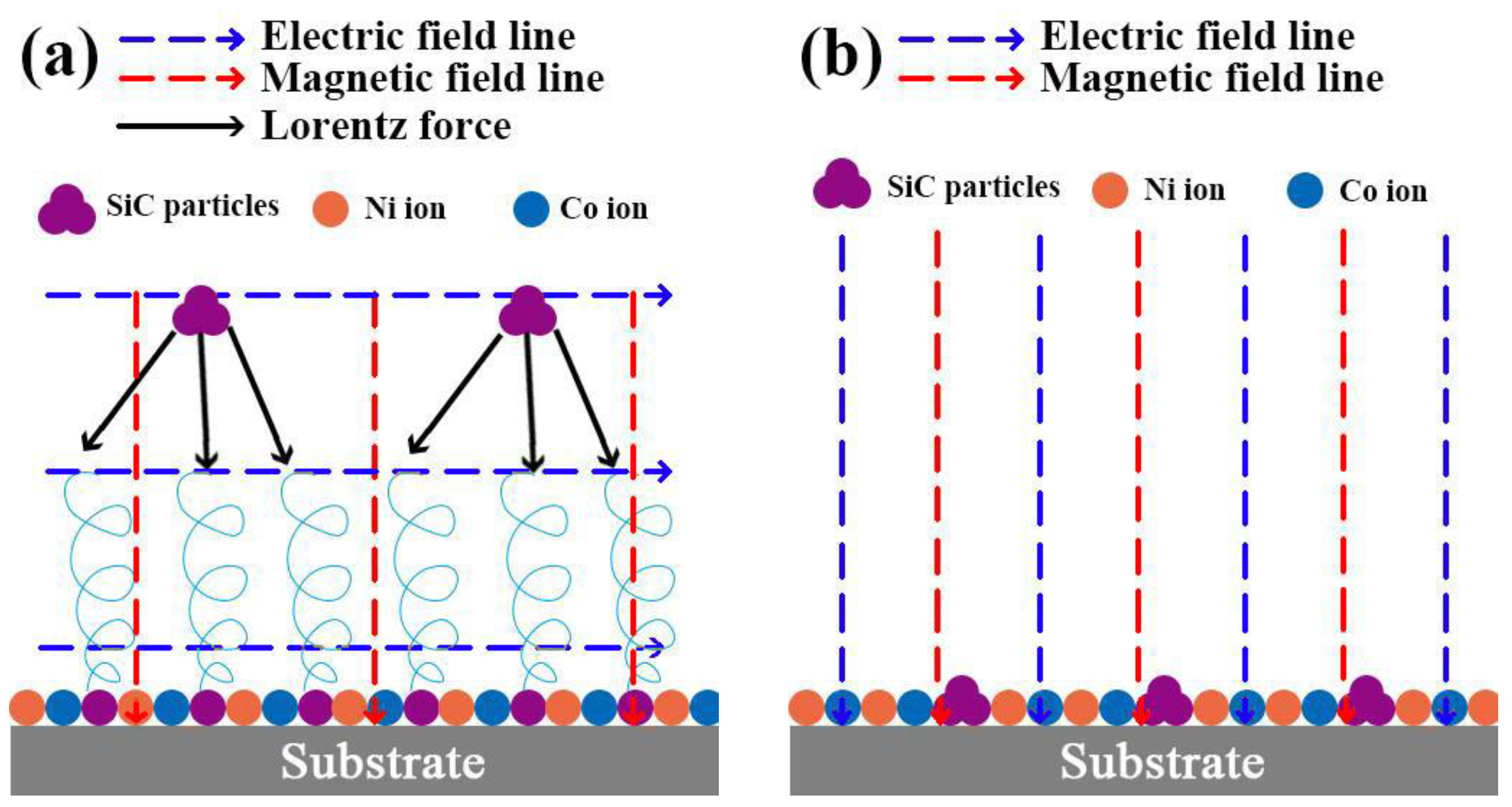 Coatings 14 00672 g003