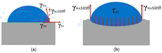 Coatings 14 00678 g001
