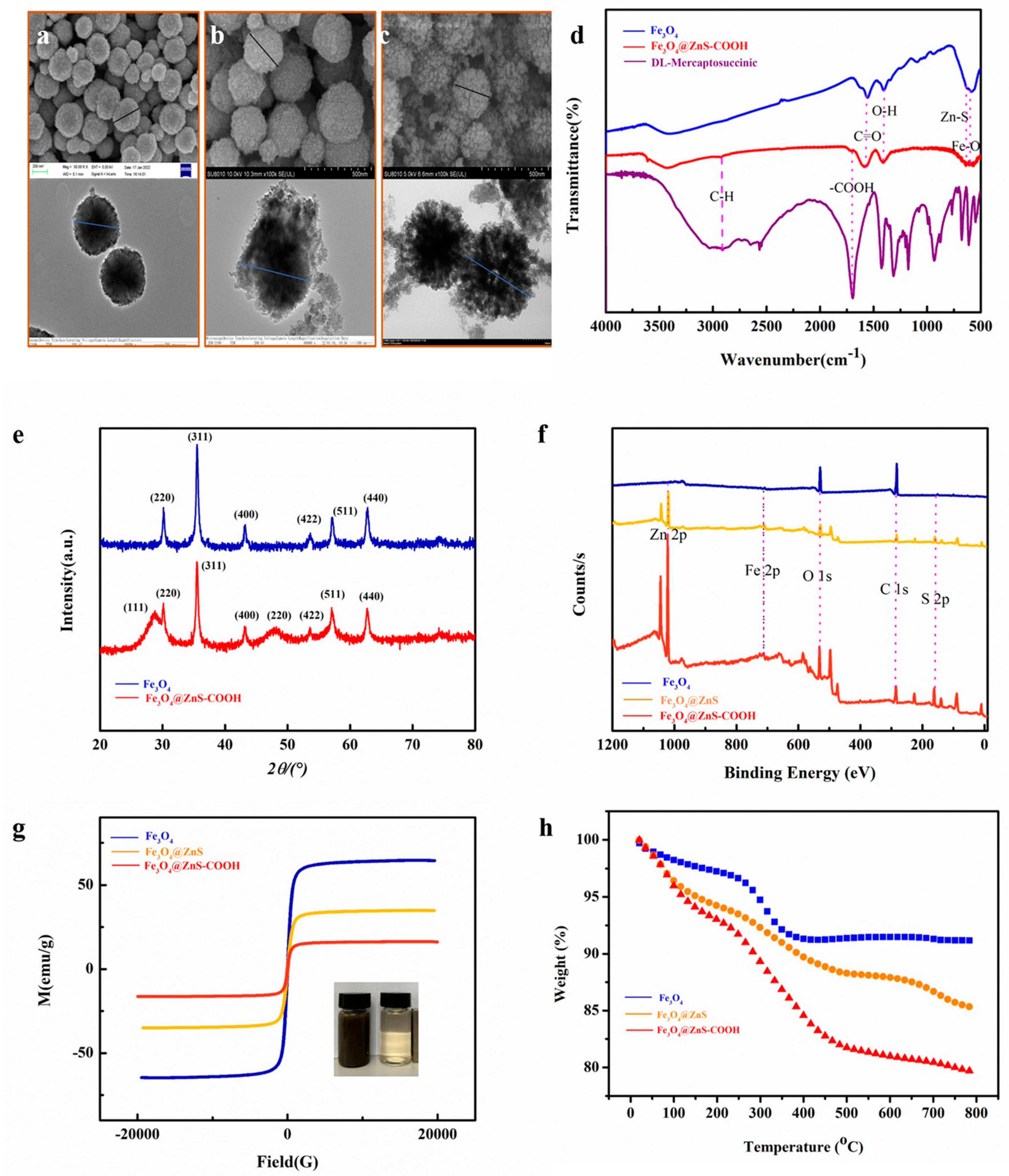 Coatings 14 00685 g001