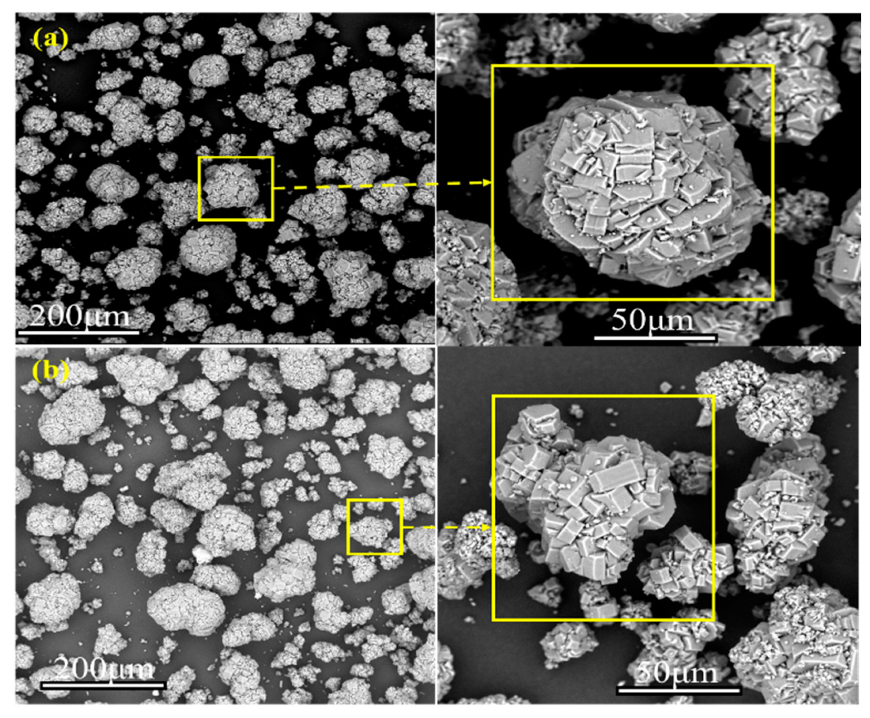 Coatings 14 00687 g009