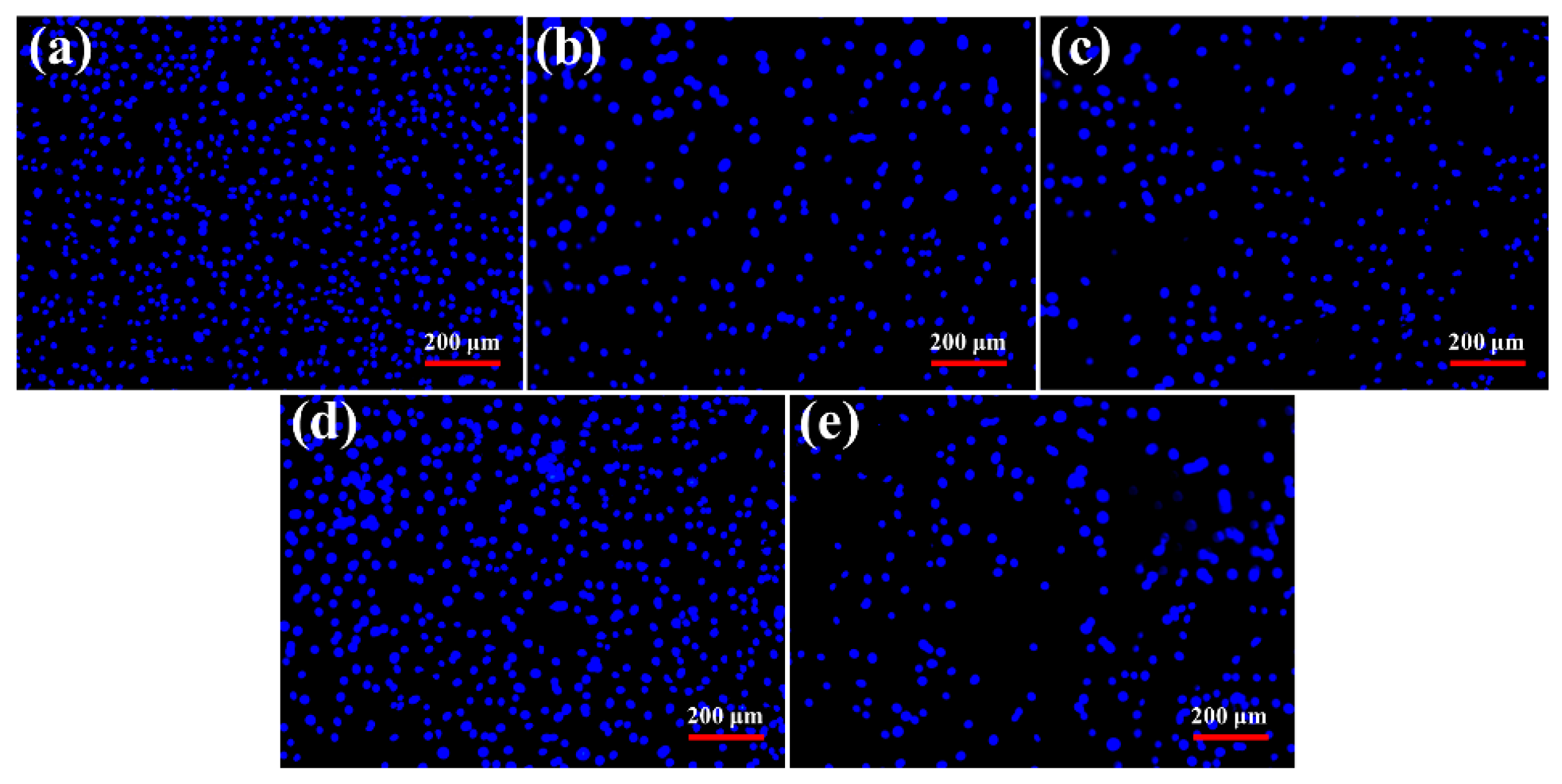 Coatings 14 00689 g006