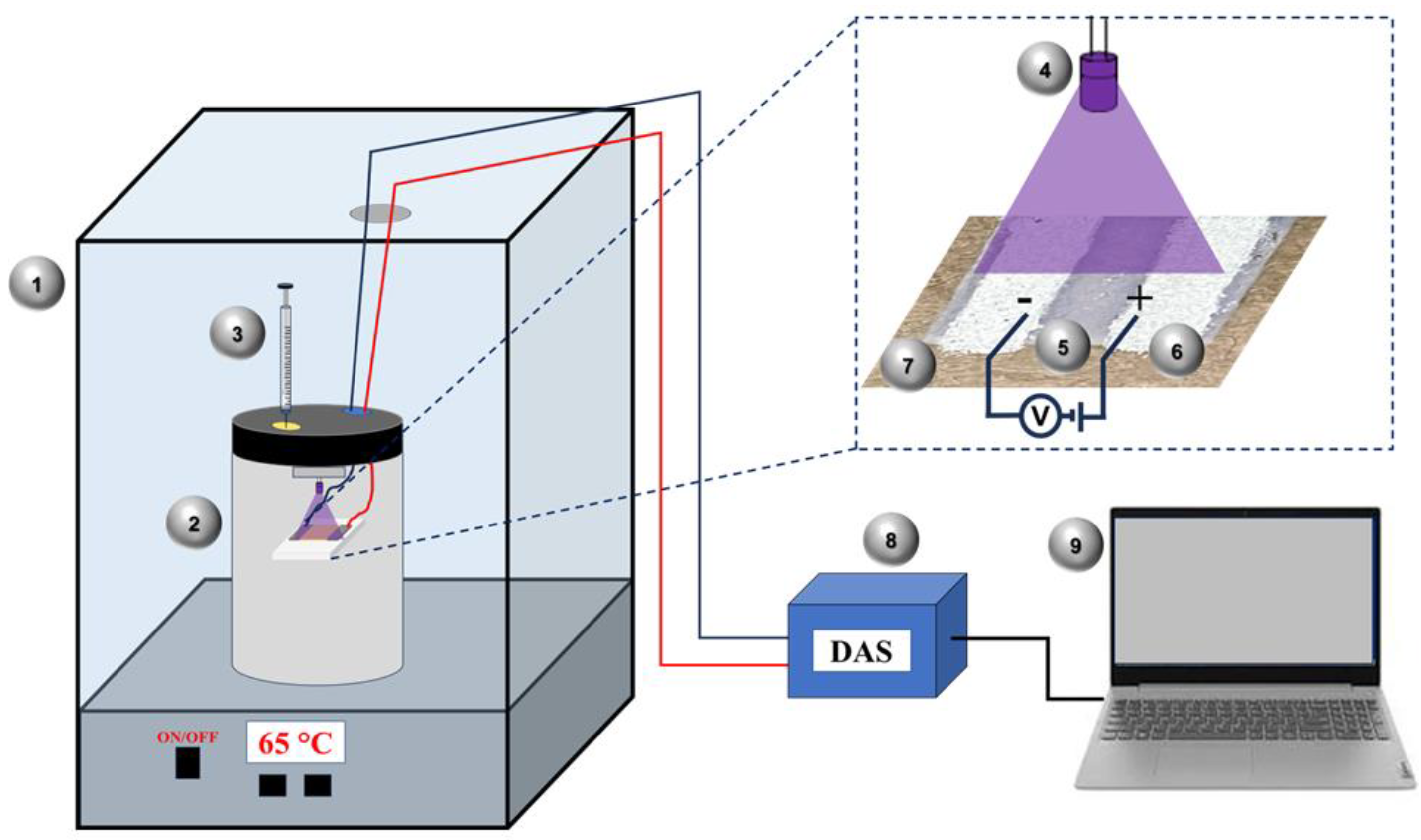 Coatings 14 00693 g001