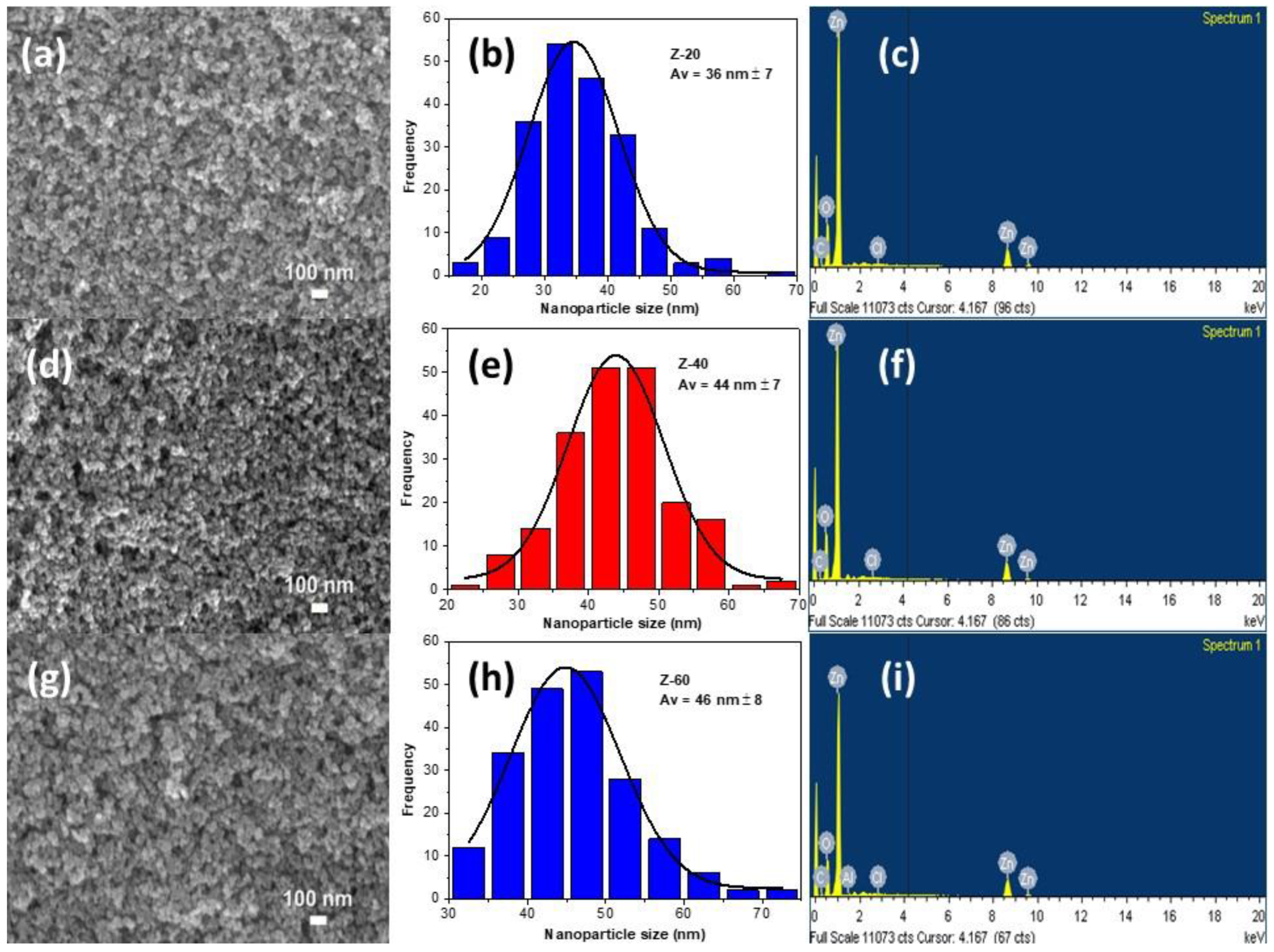 Coatings 14 00693 g004