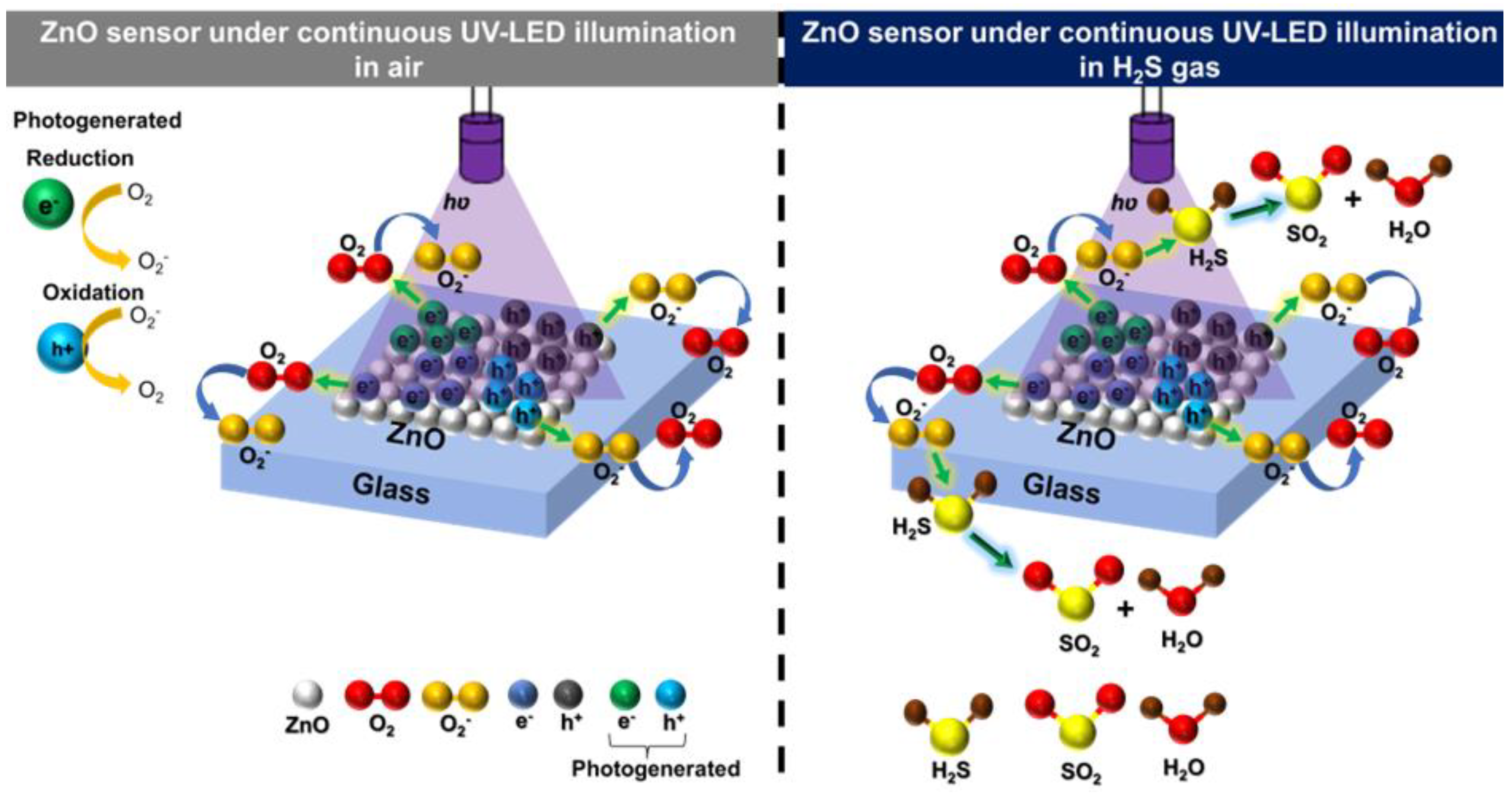 Coatings 14 00693 g011