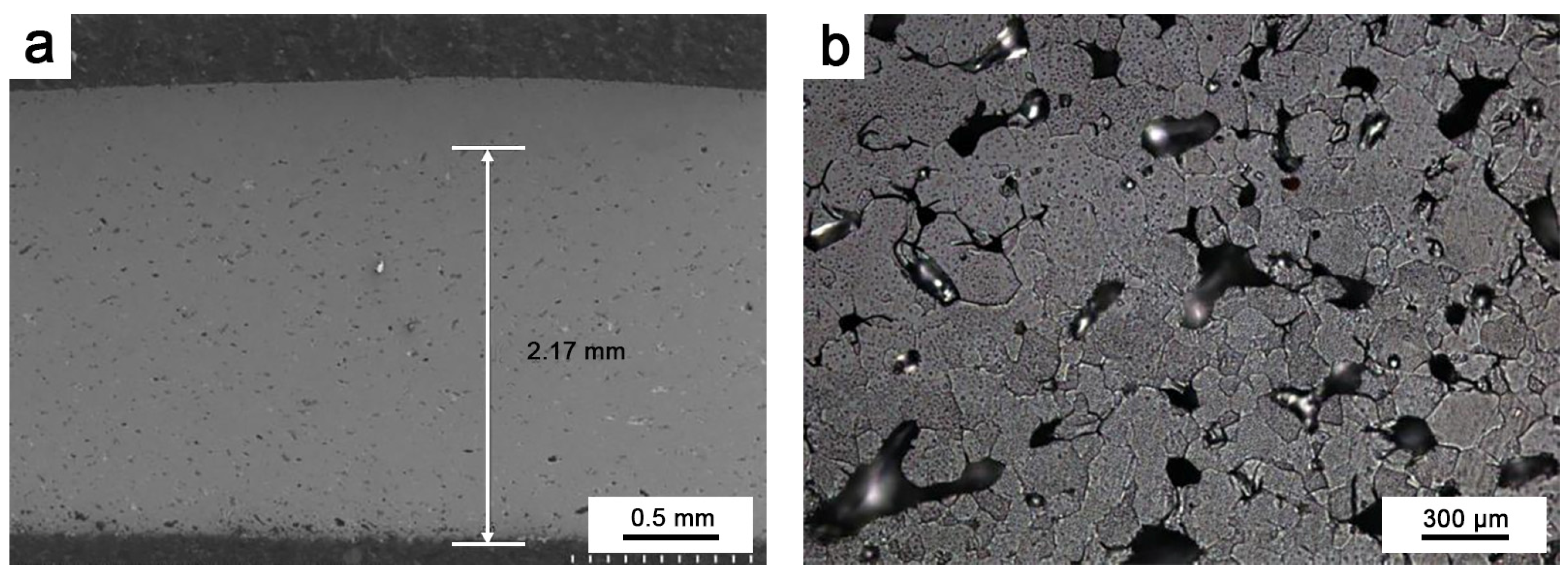 Coatings 14 00695 g006