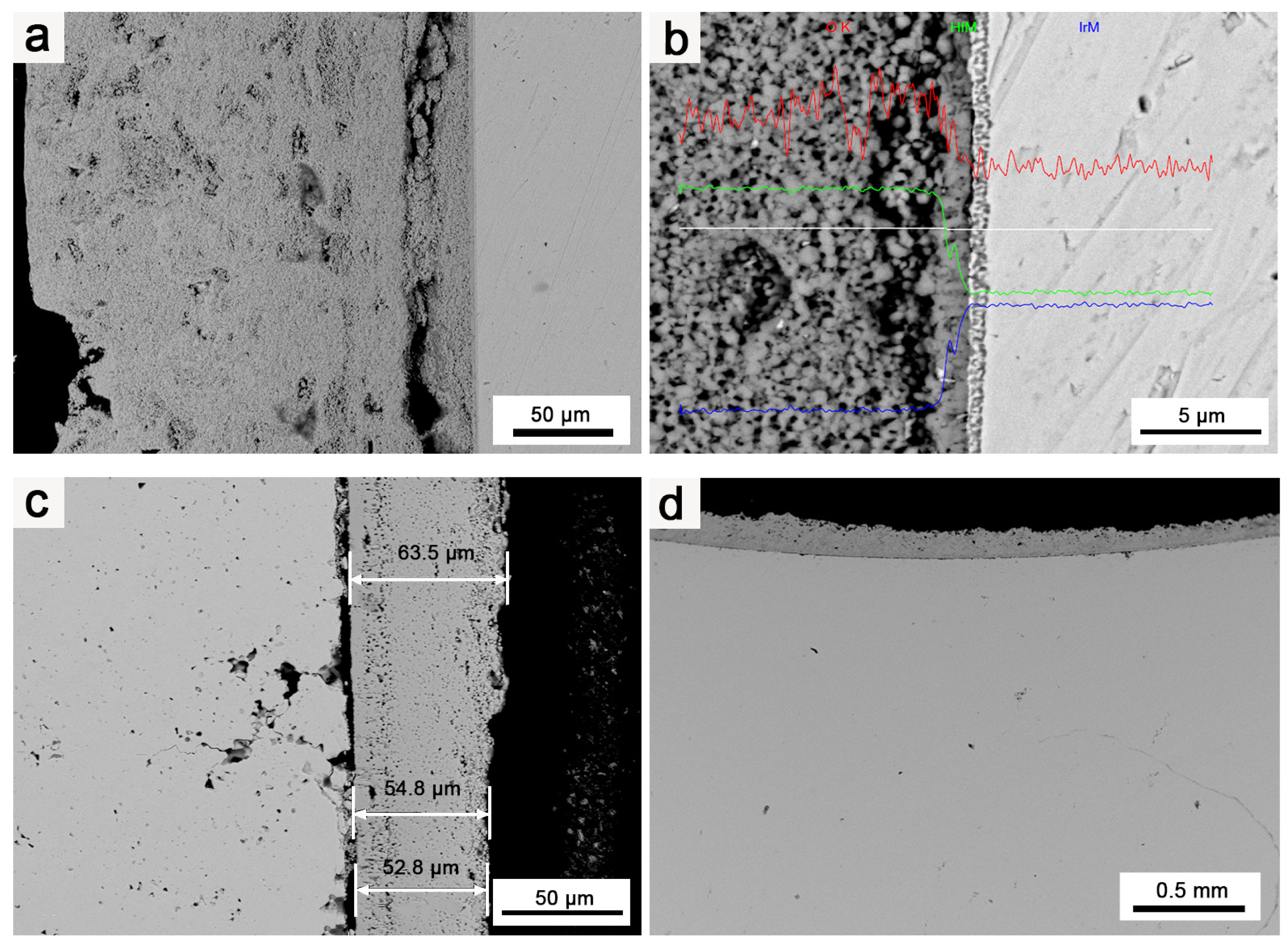 Coatings 14 00695 g007