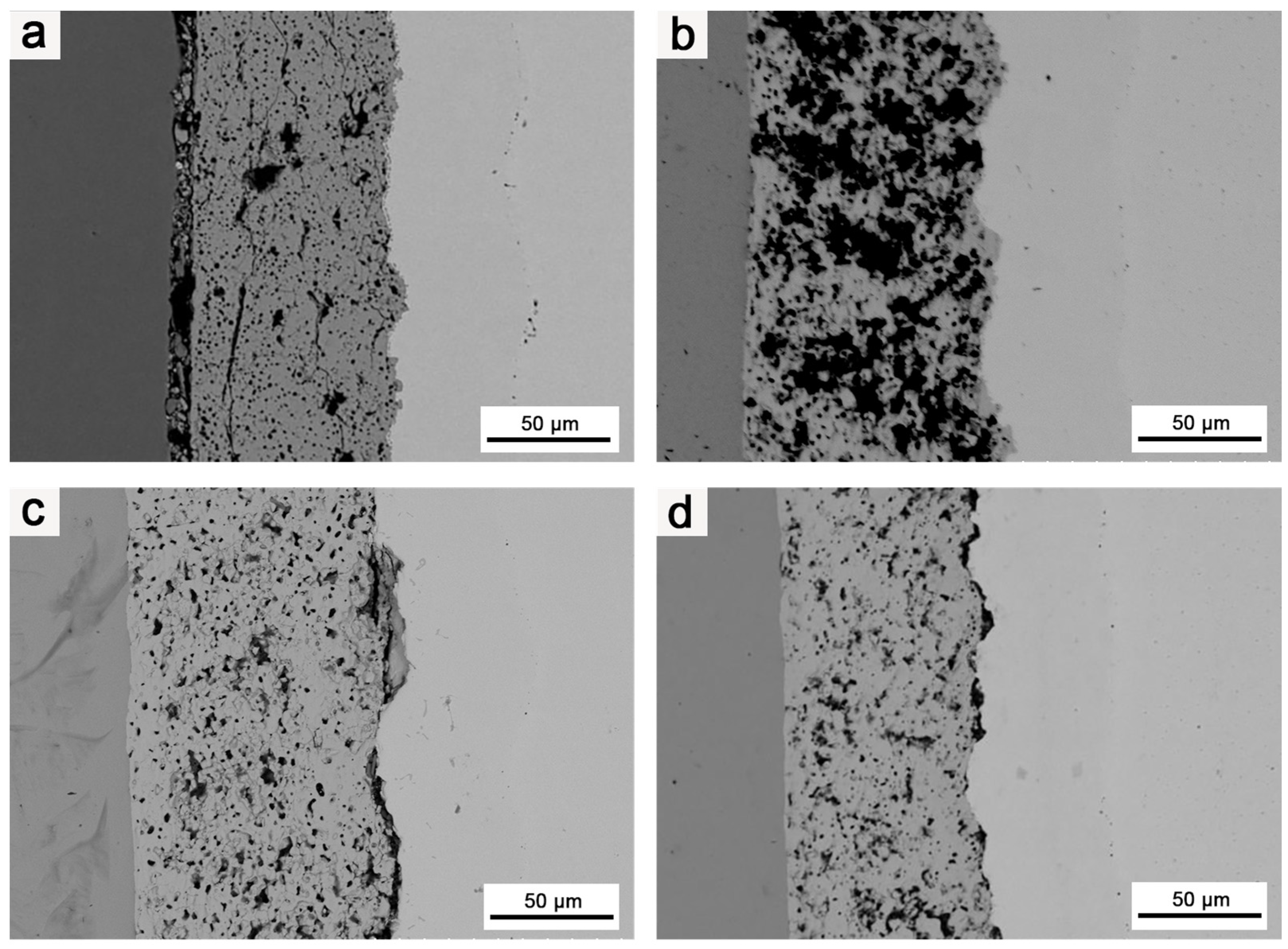 Coatings 14 00695 g010