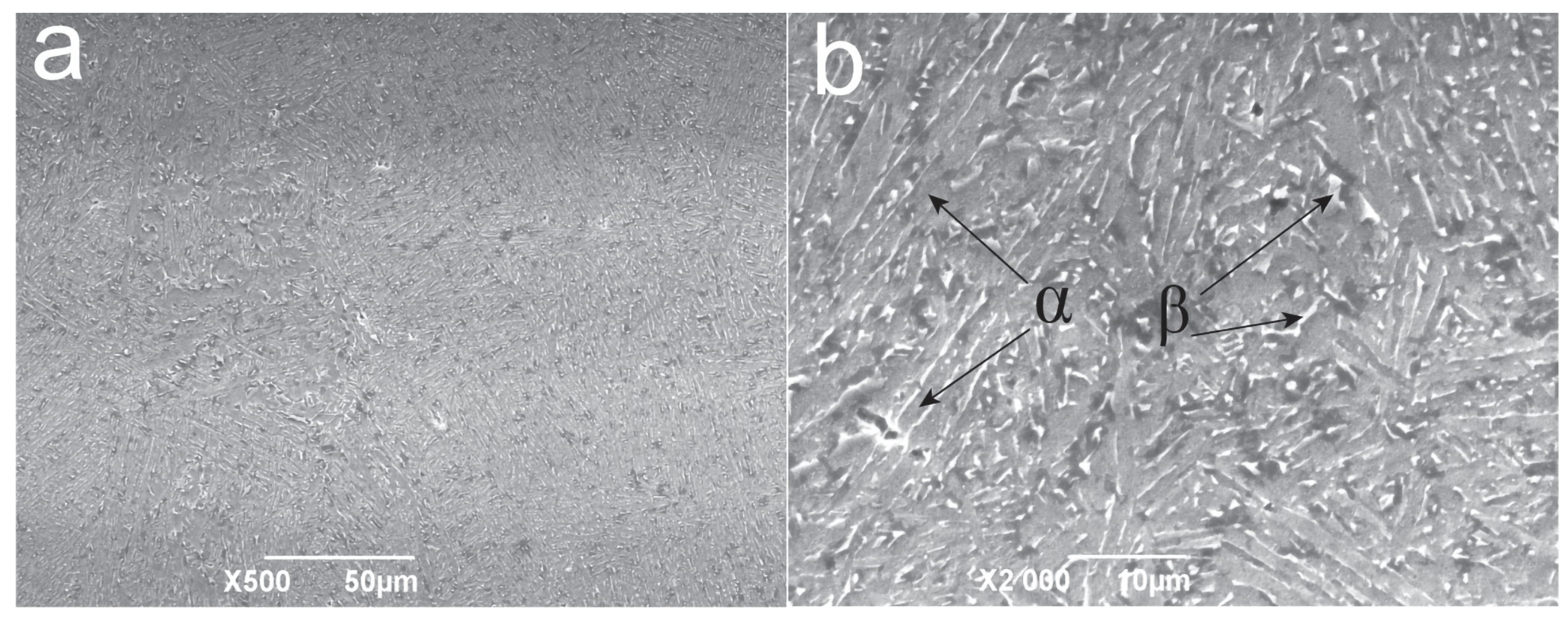 Coatings 14 00696 g003