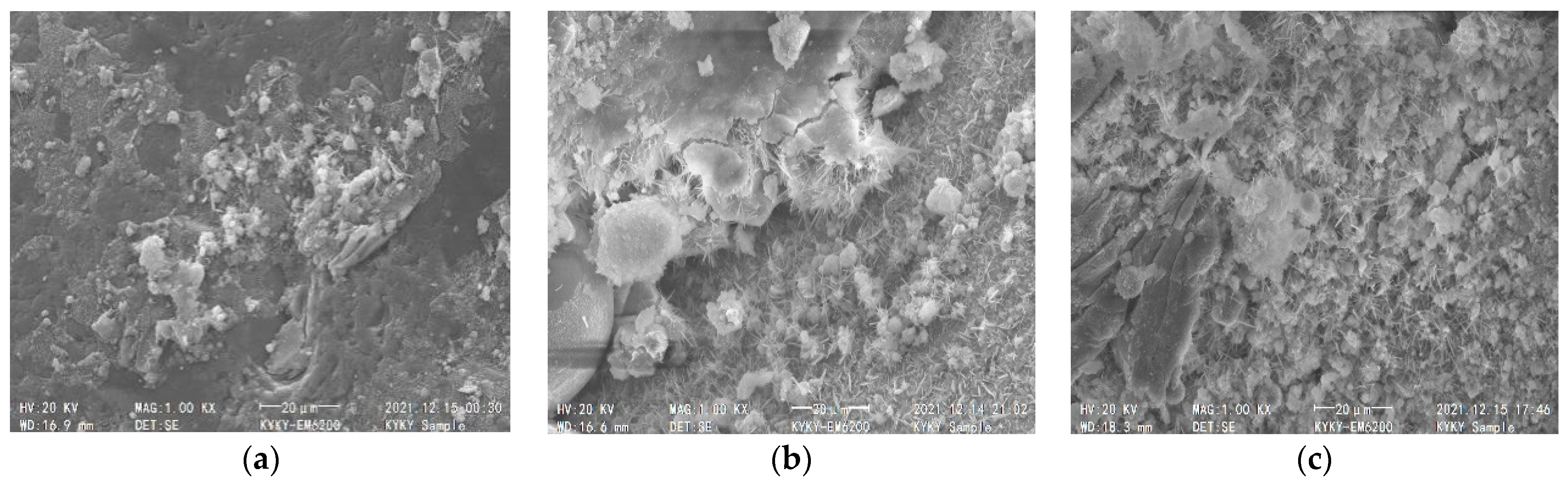 Coatings 14 00697 g020
