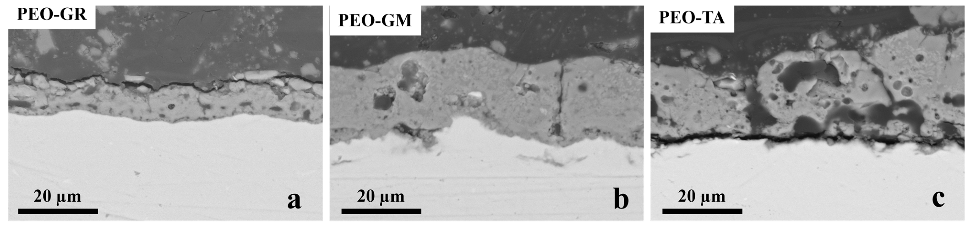 Coatings 14 00703 g006