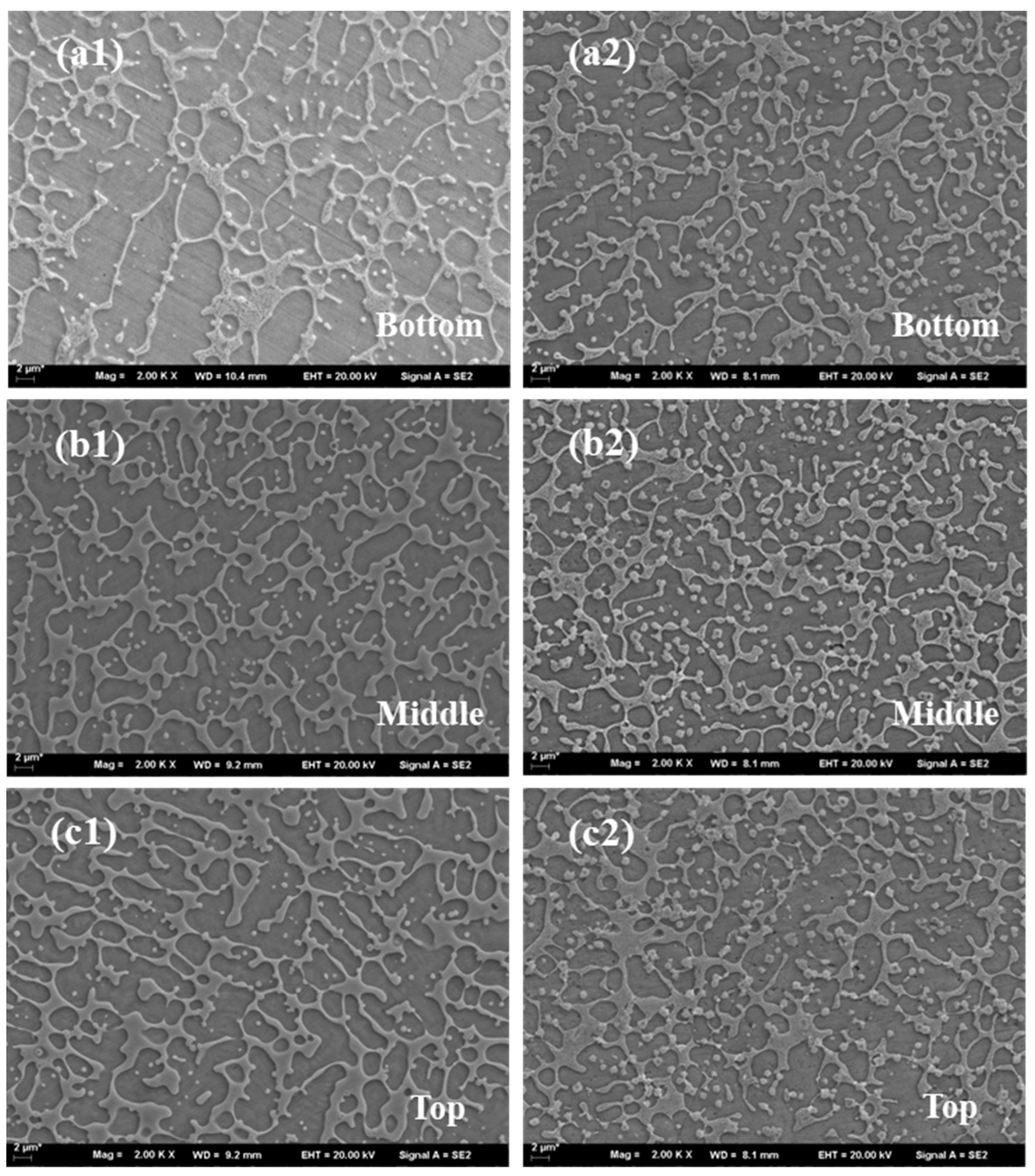 Coatings 14 00708 g008