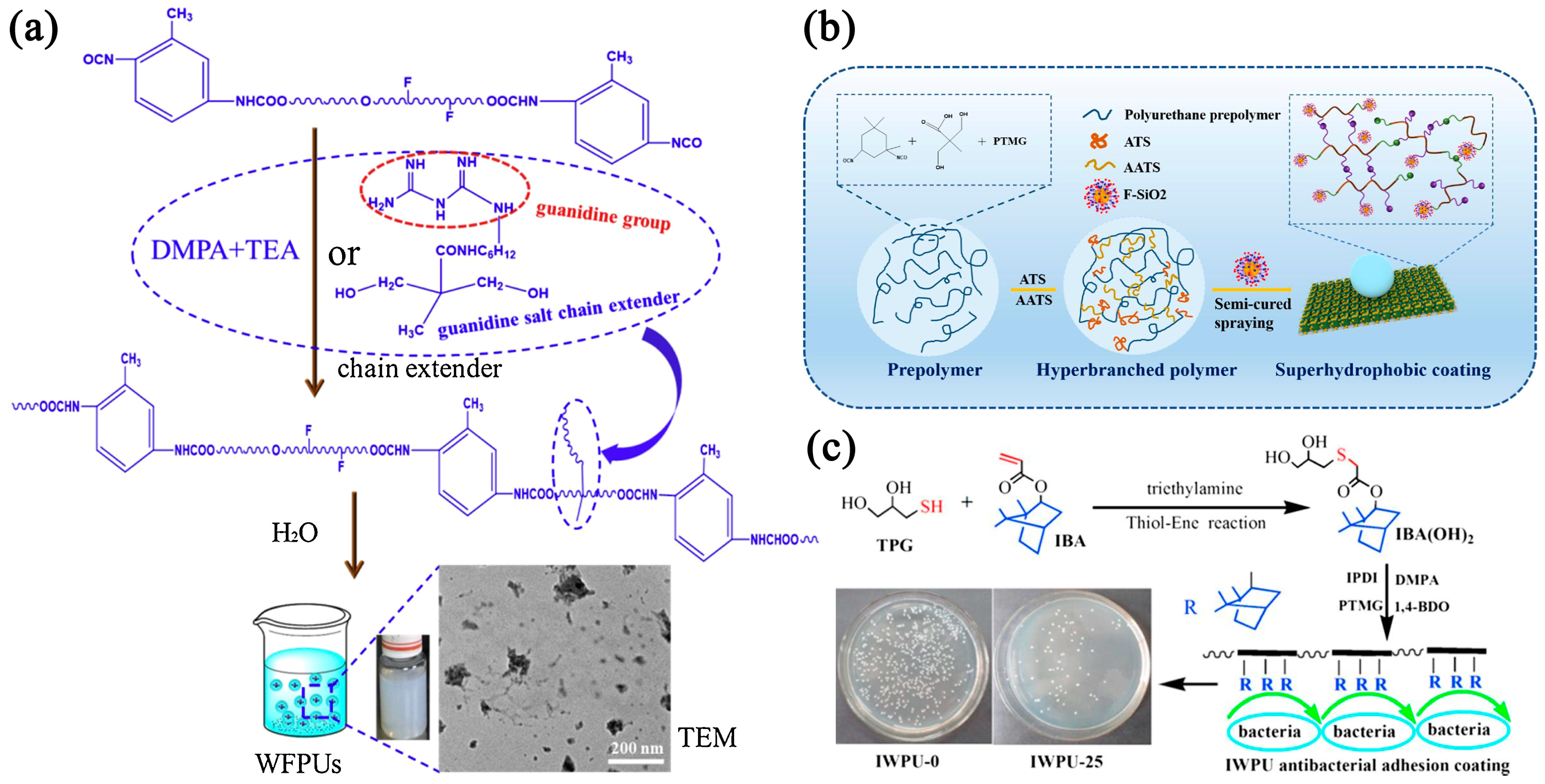Coatings 14 00710 g001