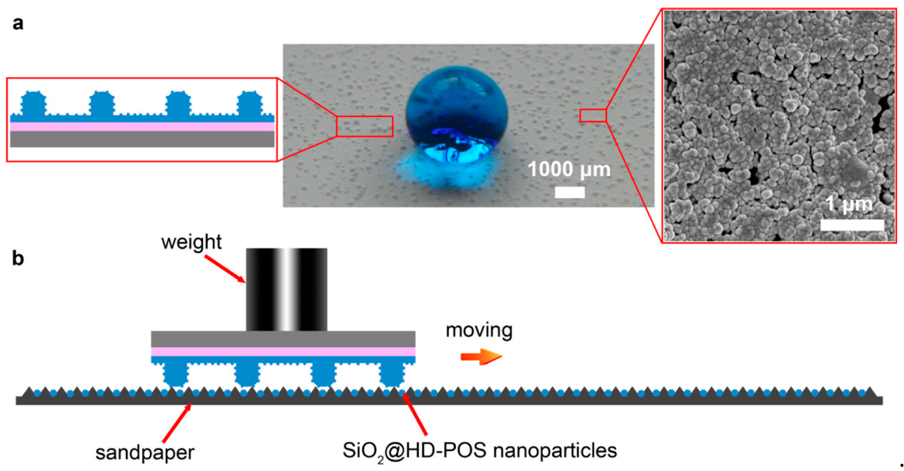 Coatings 14 00710 g005