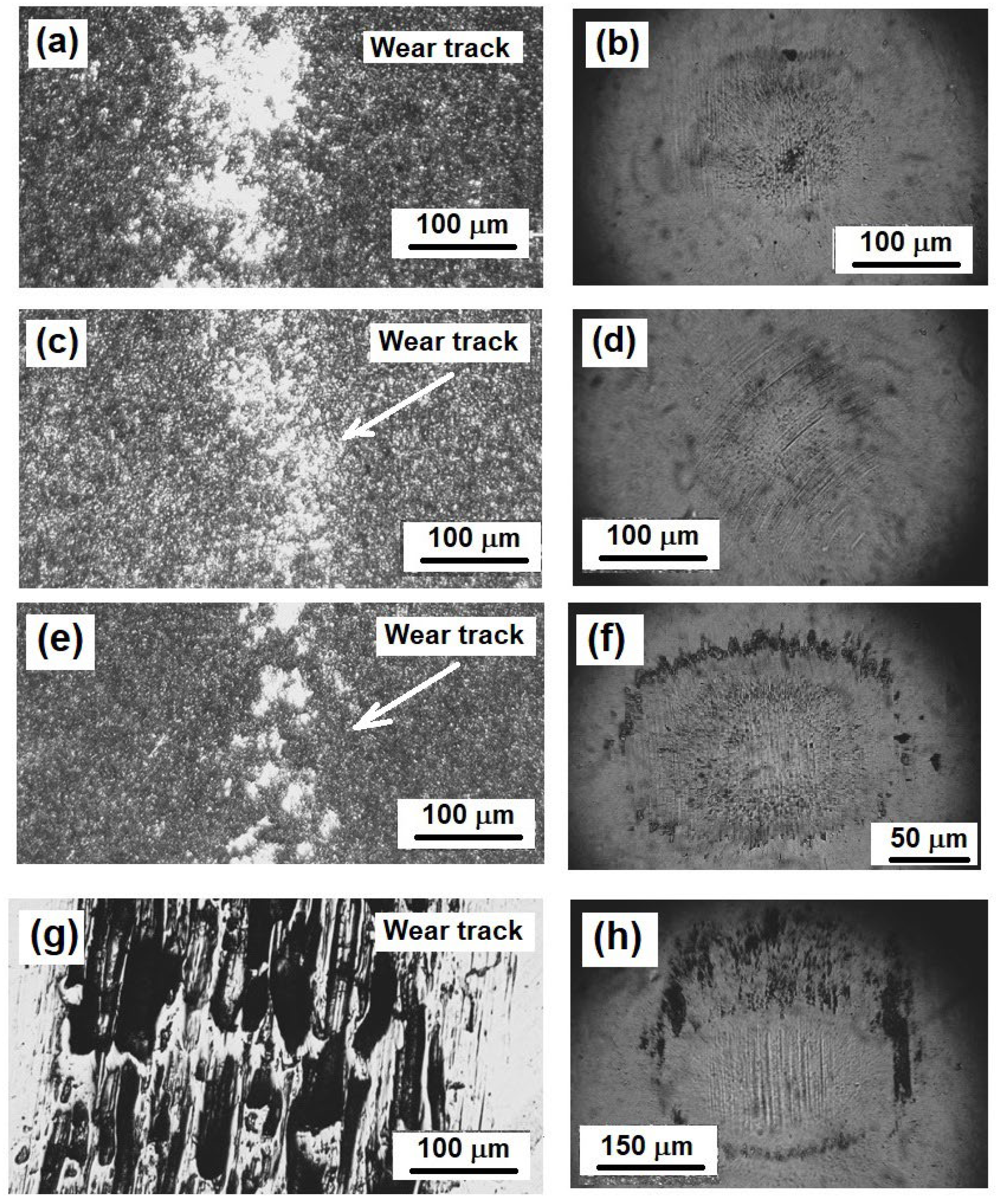 Coatings 14 00716 g007 Coatings 14 00716 g007