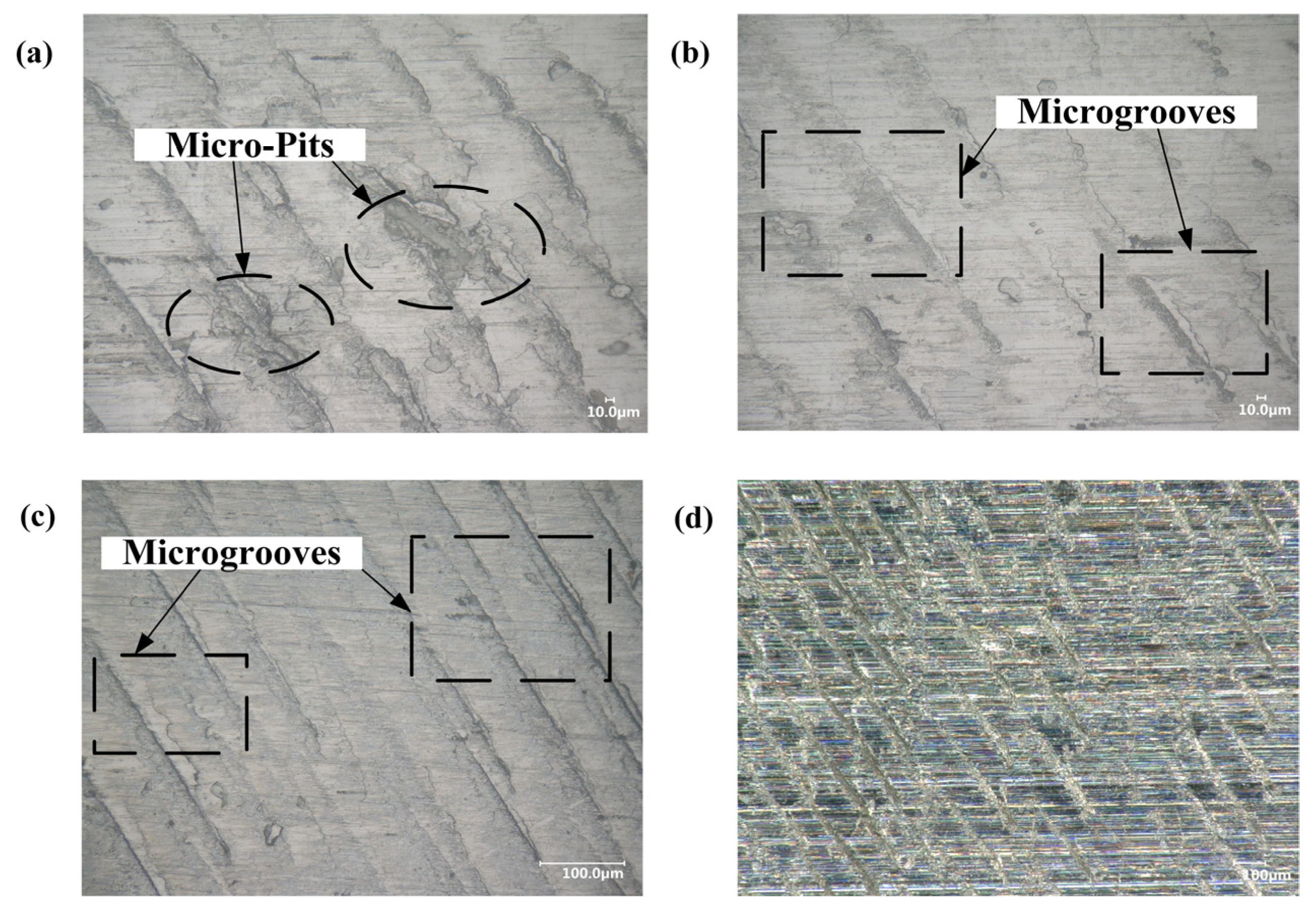 Coatings 14 00719 g018