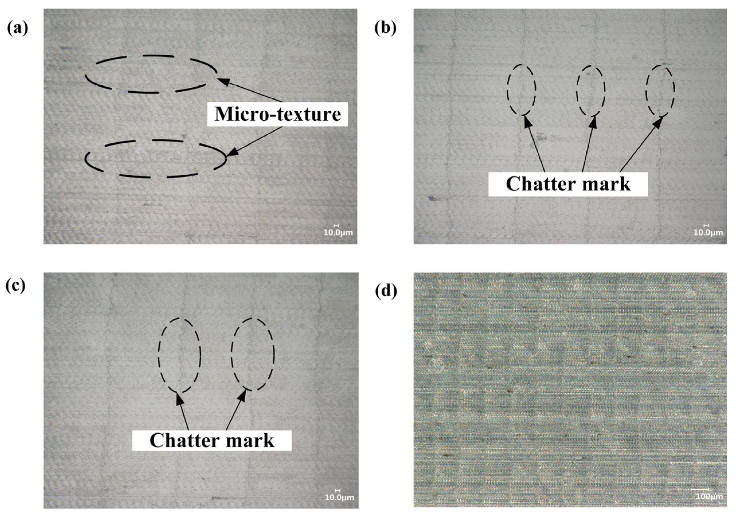 Coatings 14 00719 g019